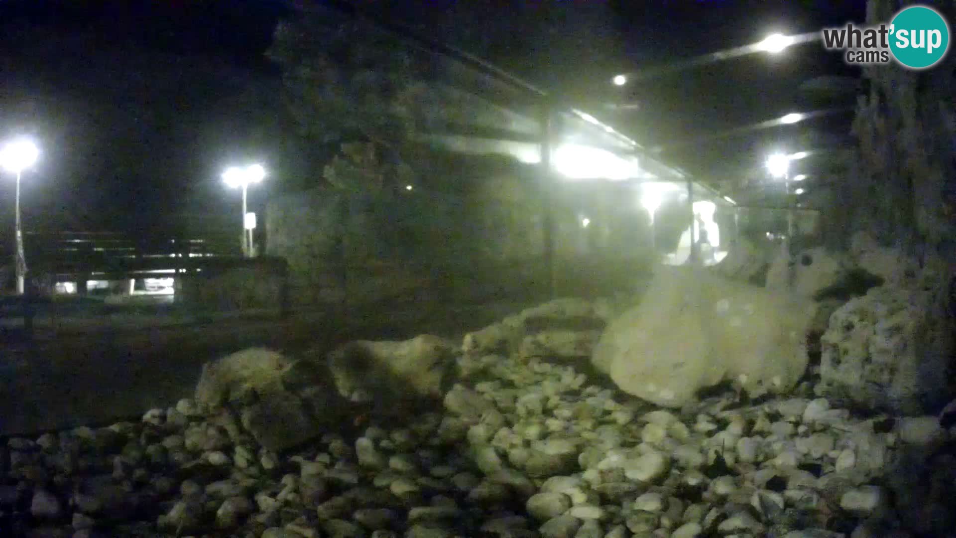 Marine Aquarium im Freien Rogoznica webcam Kroatien