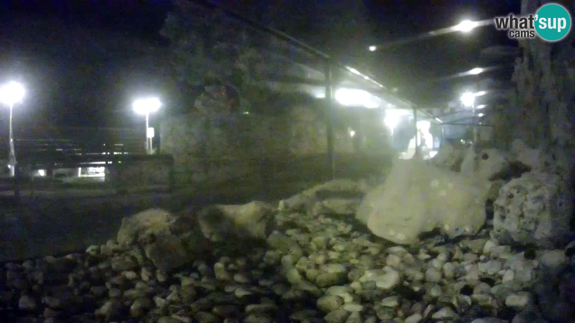 Vanjski morski akvarij Rogoznica web kamera Hrvatska