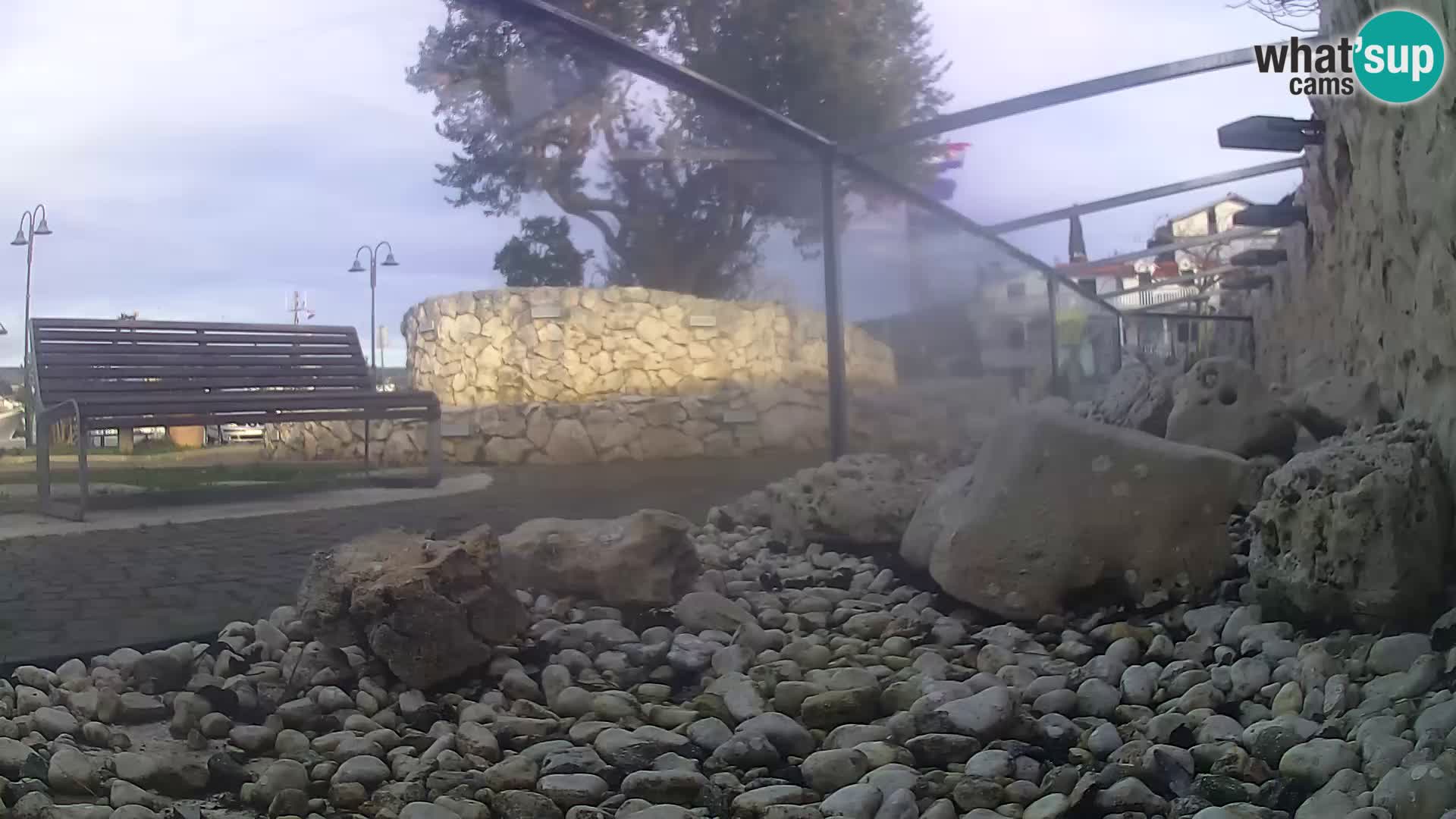 Acuario marino al aire libre Rogoznica webcam Croacia