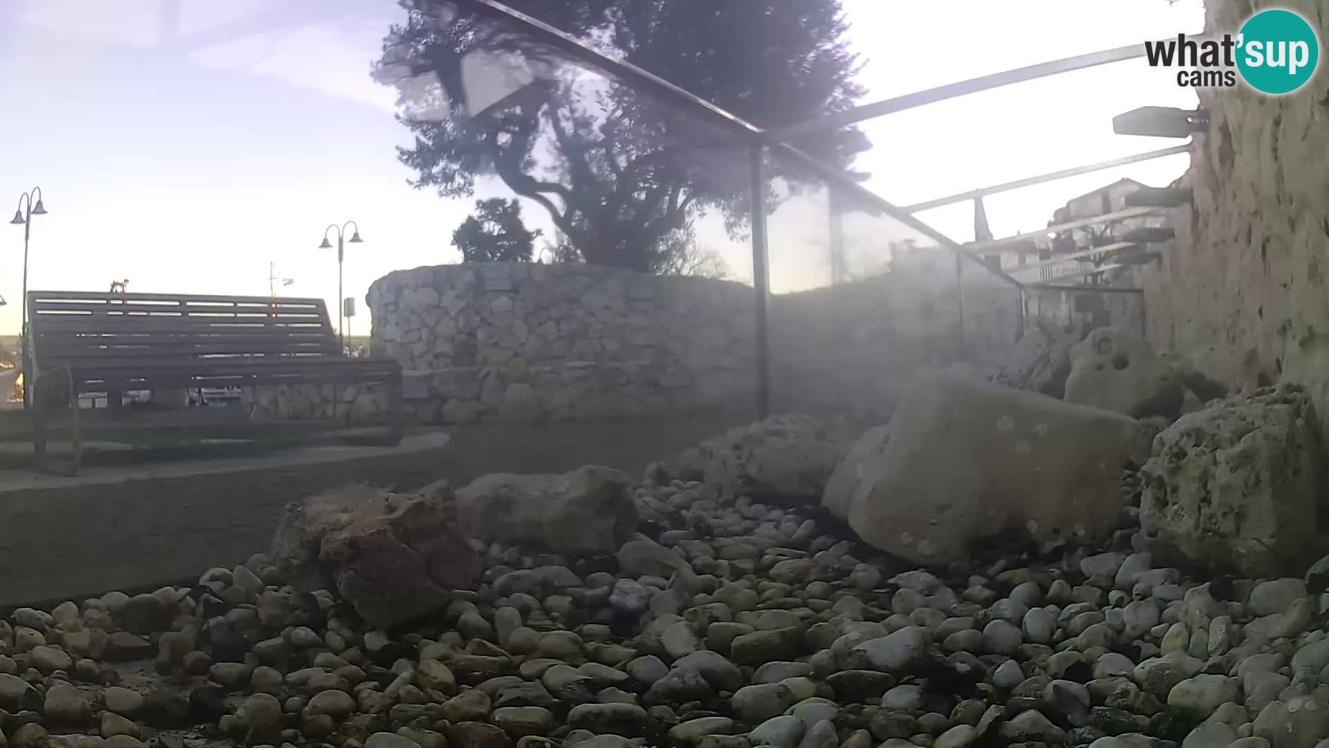 Marine Aquarium im Freien Rogoznica webcam Kroatien