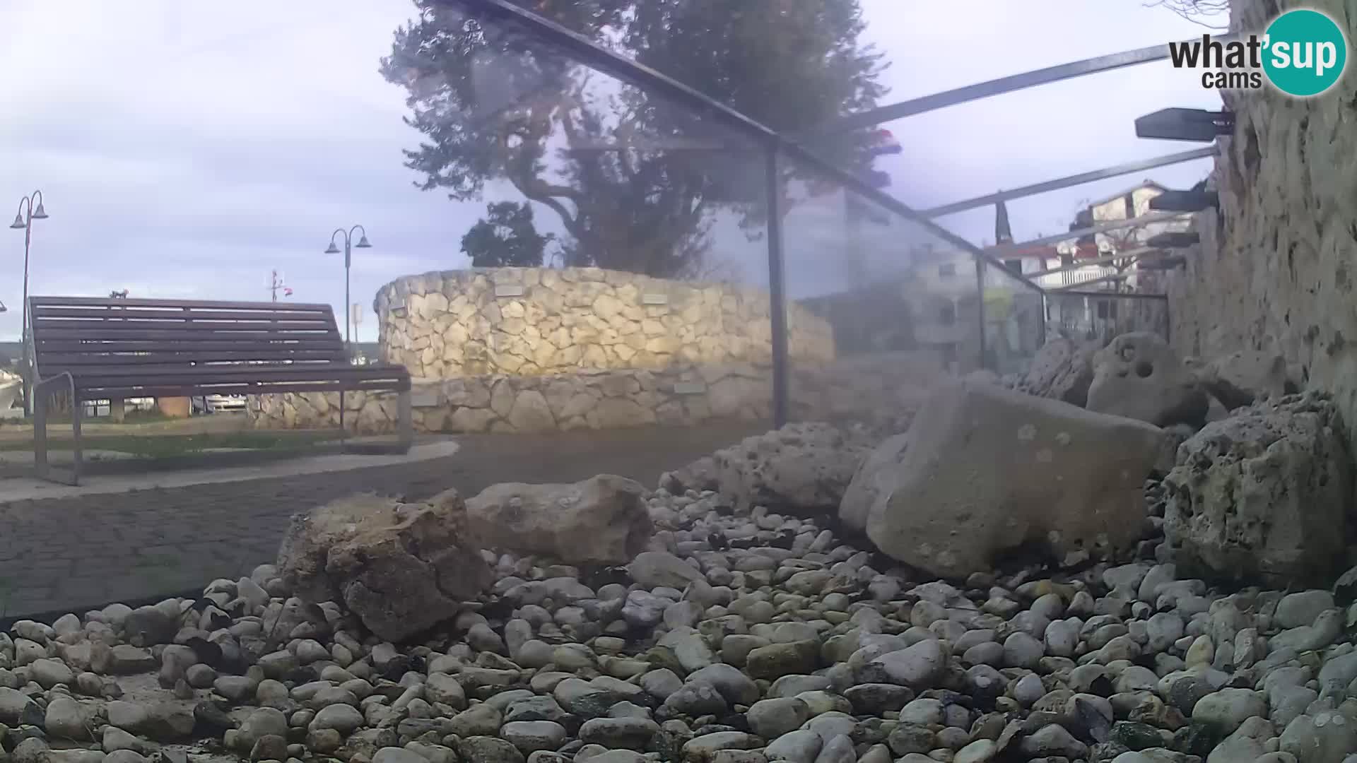 Acuario marino al aire libre Rogoznica webcam Croacia