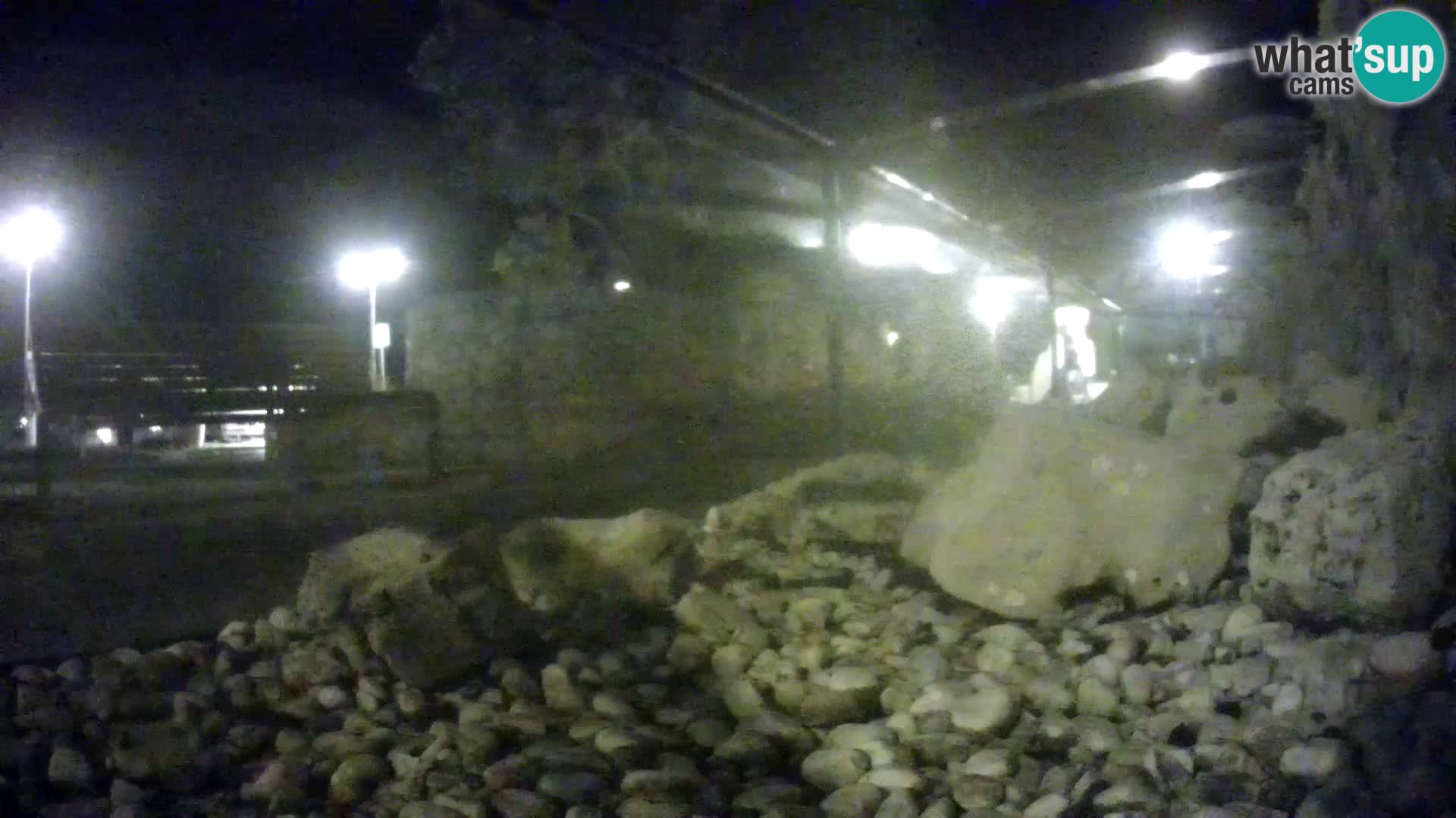 Outdoor Marine Aquarium Rogoznica webcam Croatia