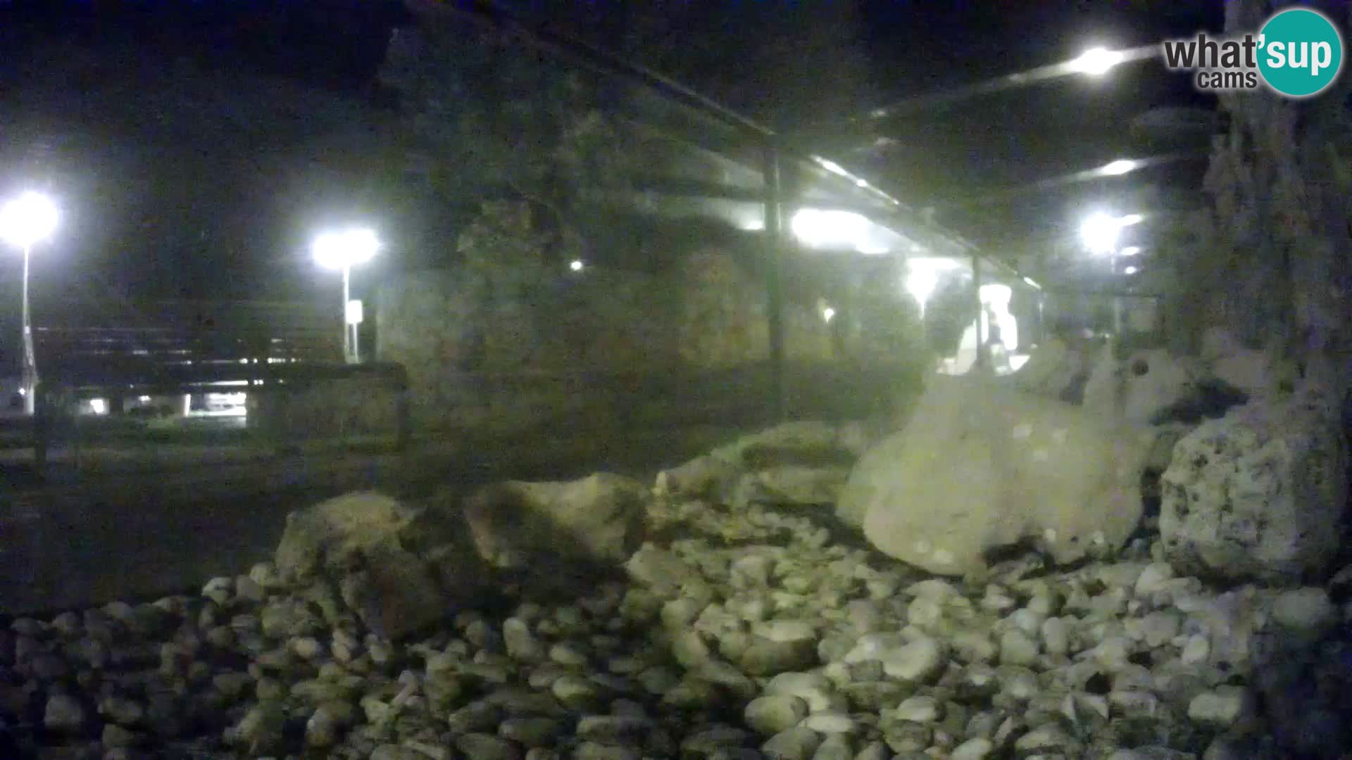 Aquario marino esterno –  Rogoznica livecam Croazia