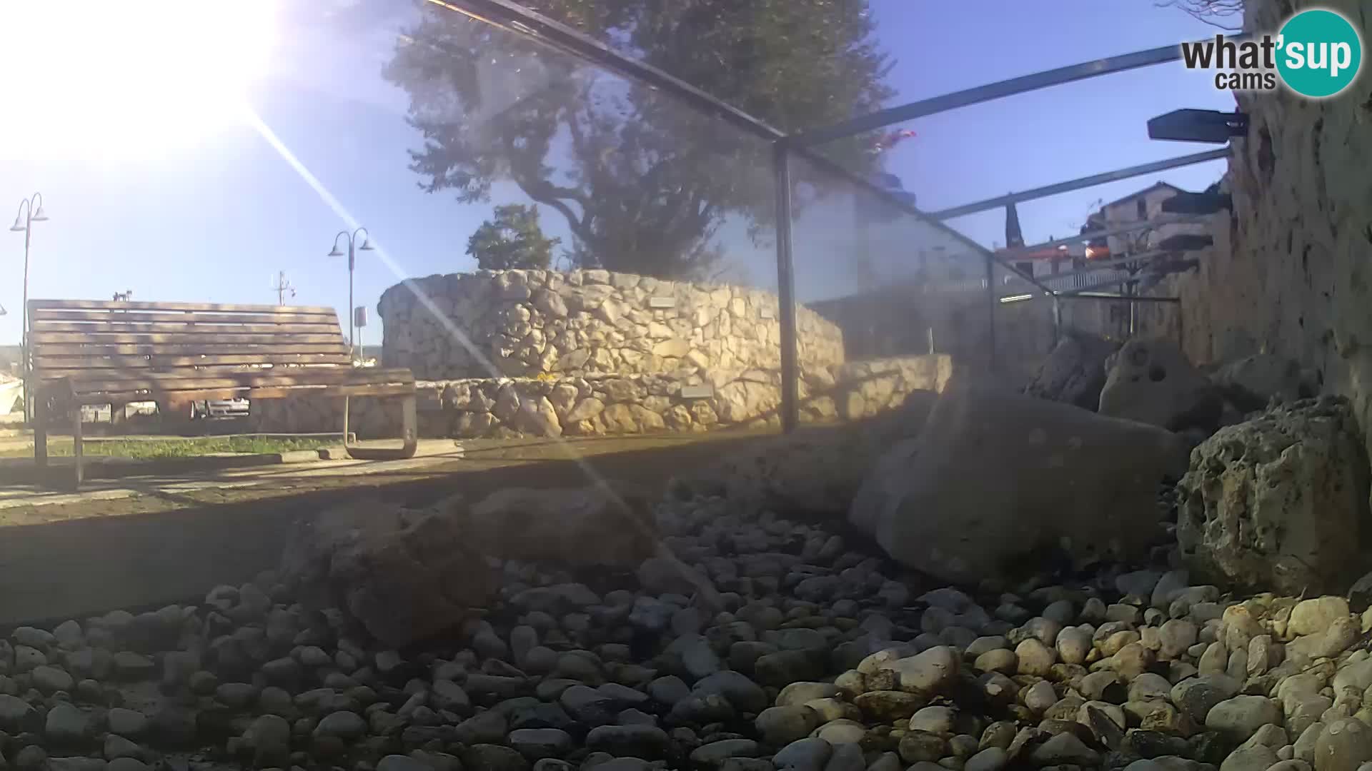 Marine Aquarium im Freien Rogoznica webcam Kroatien