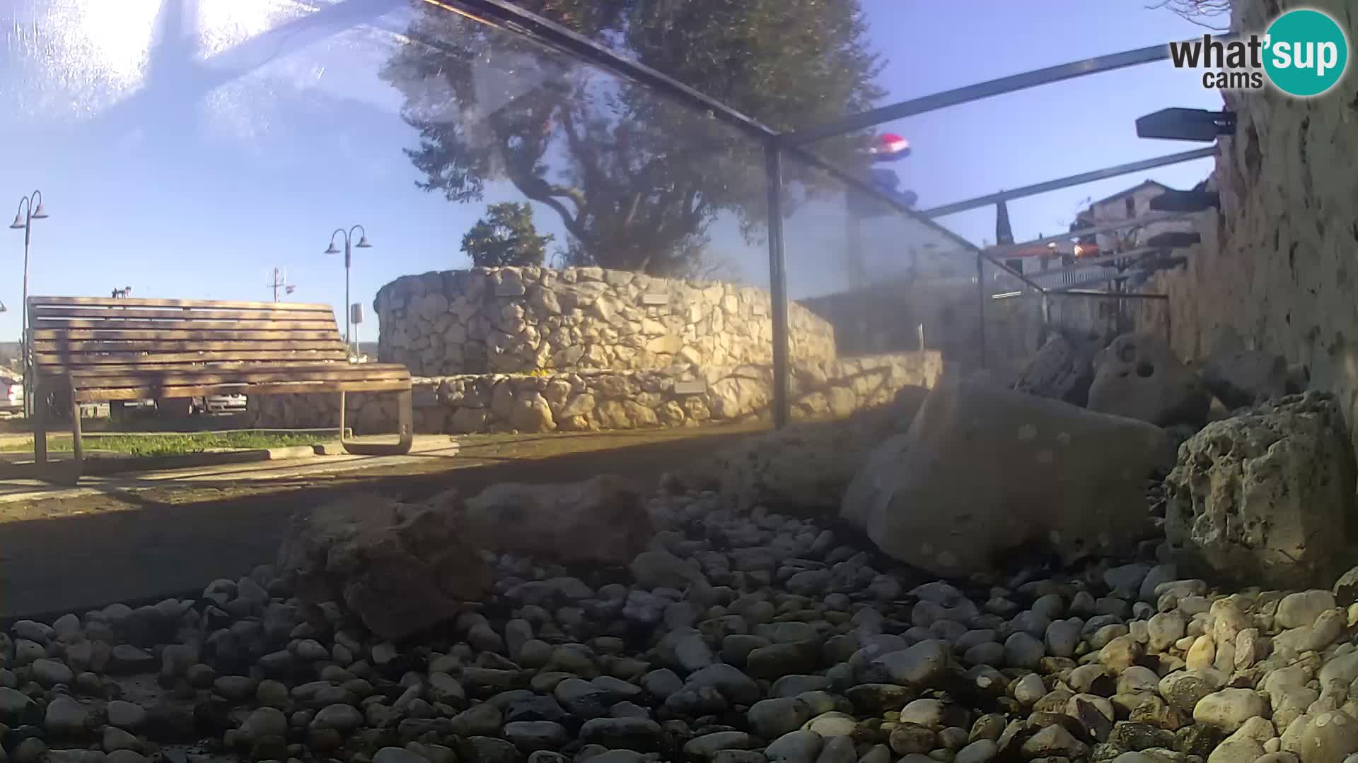Webcam de l’aquarium marin extérieur de Rogoznica Croatie