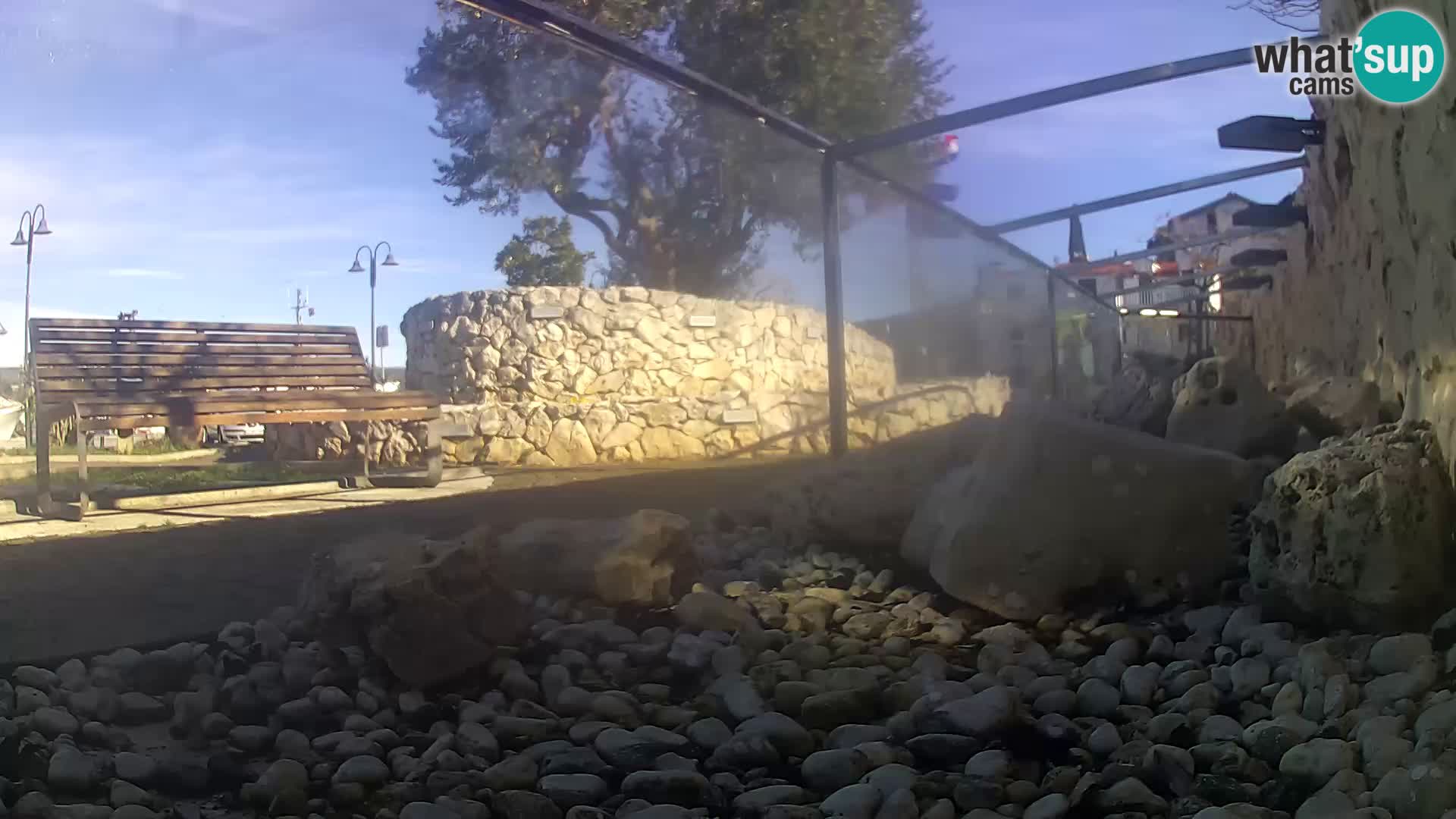 Zunanji morski akvarij Rogoznica spletna kamera Hrvaška