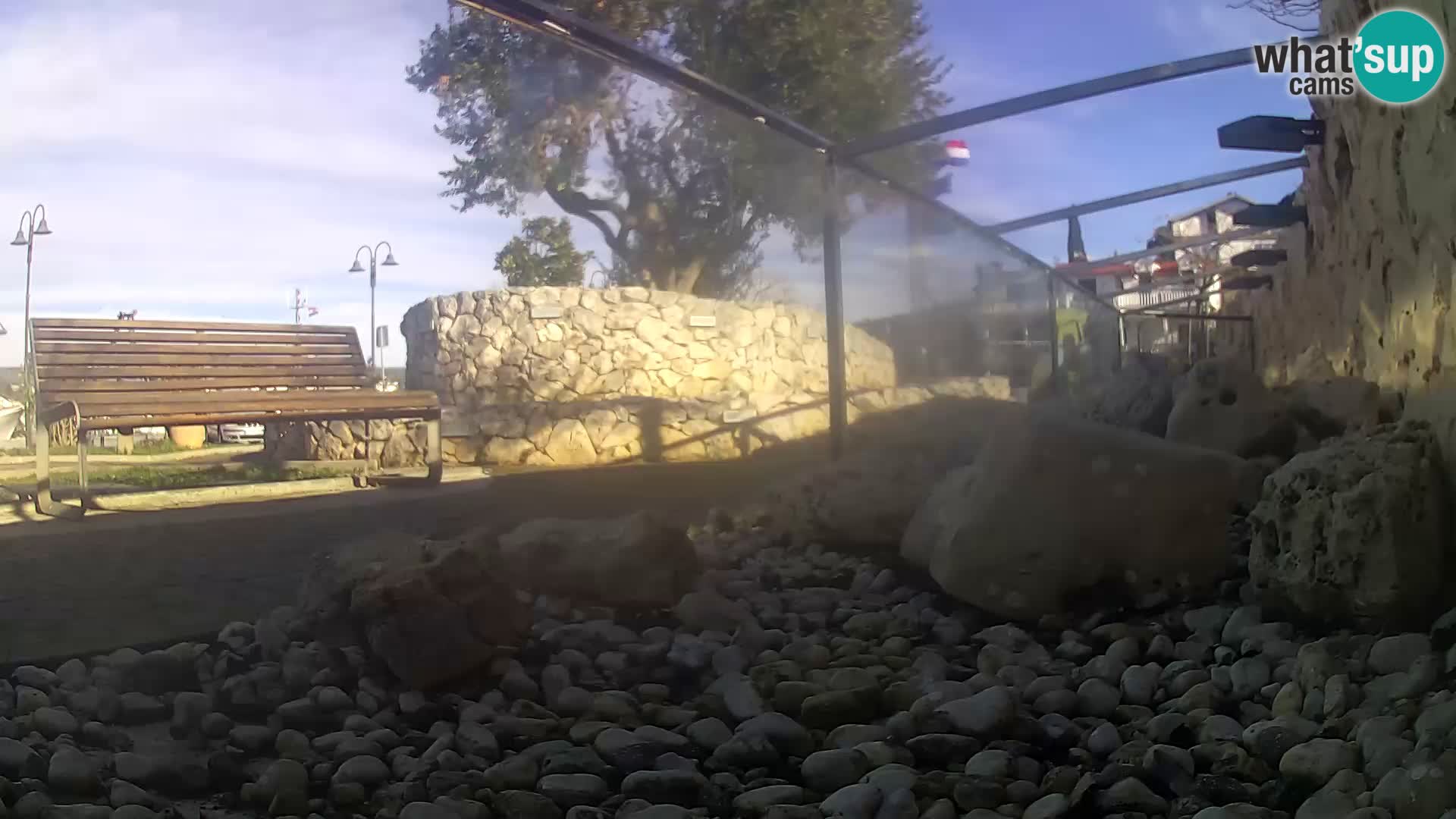 Outdoor Marine Aquarium Rogoznica webcam Croatia