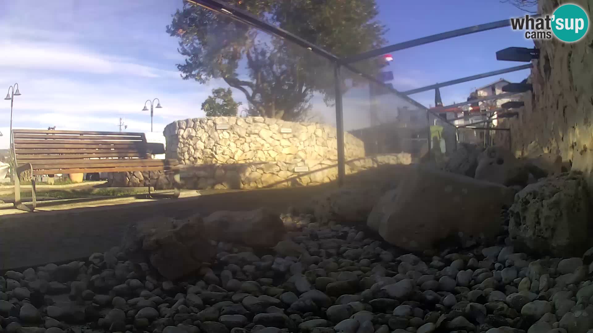 Outdoor Marine Aquarium Rogoznica webcam Croatia