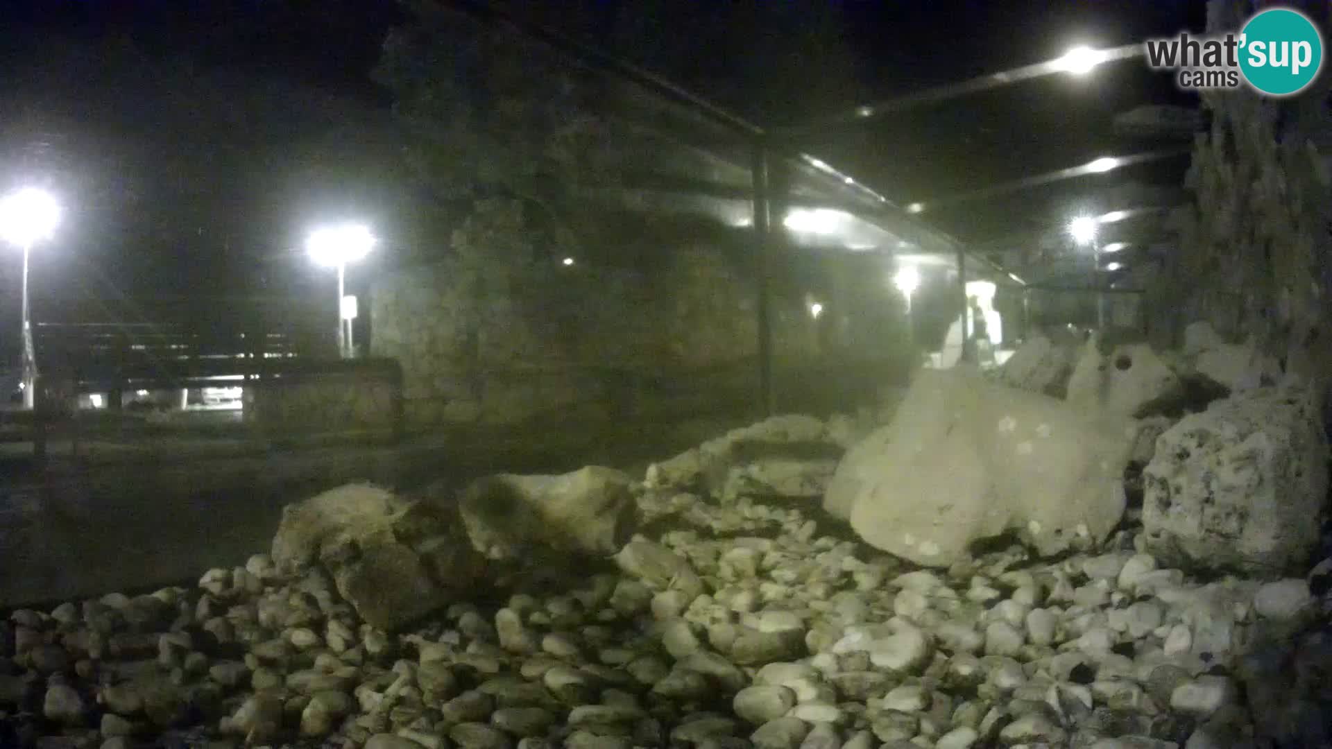 Zunanji morski akvarij Rogoznica spletna kamera Hrvaška