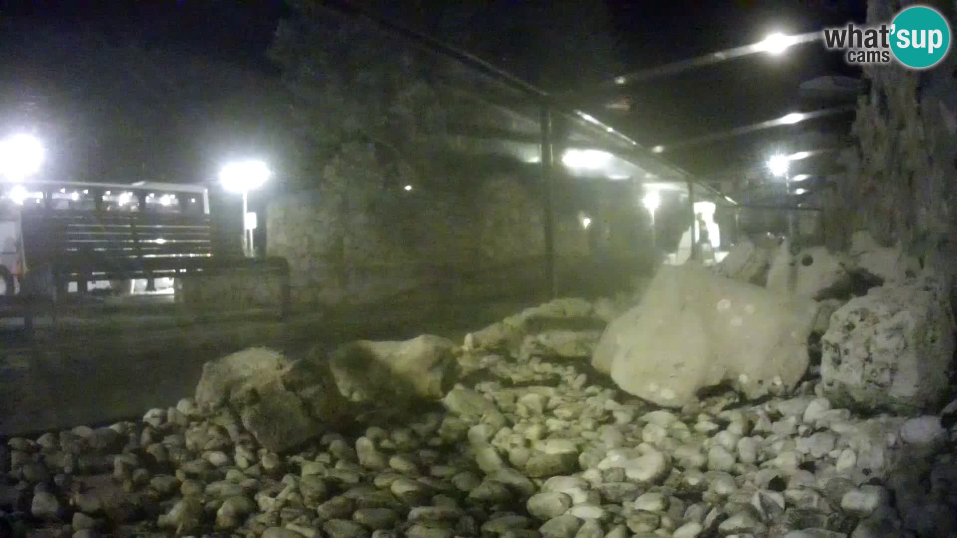 Outdoor Marine Aquarium Rogoznica webcam Croatia