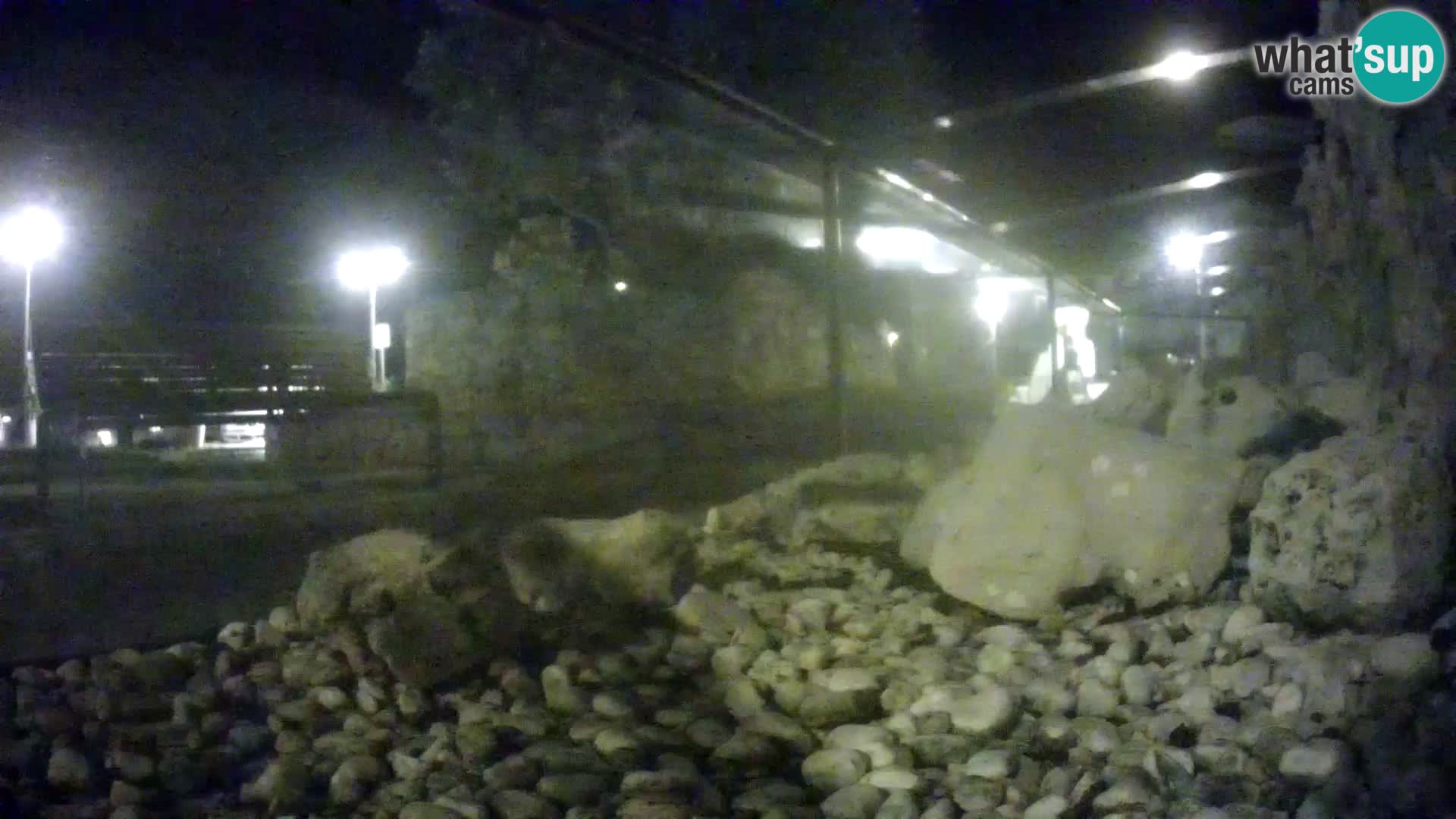 Outdoor Marine Aquarium Rogoznica webcam Croatia