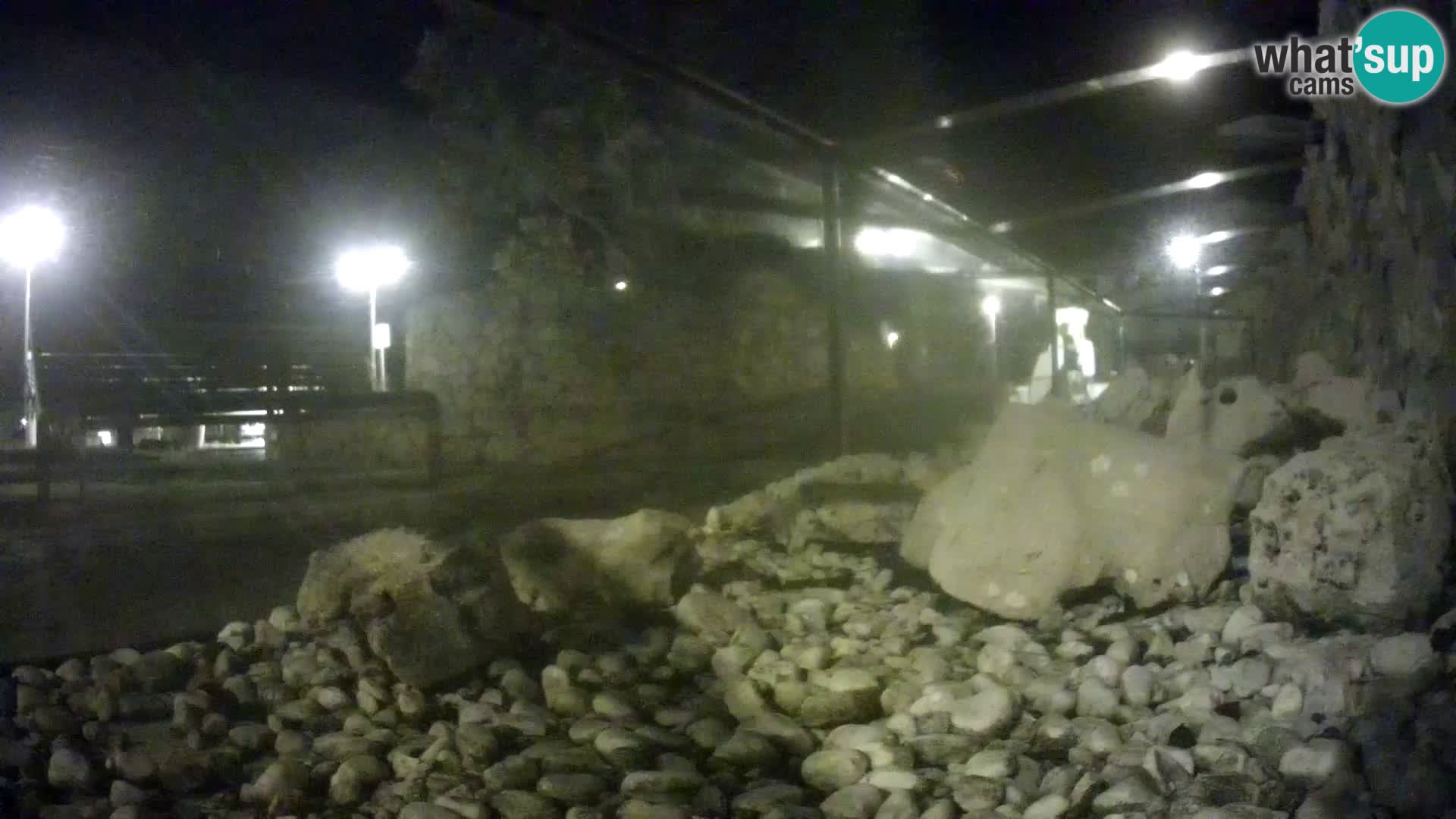 Outdoor Marine Aquarium Rogoznica webcam Croatia