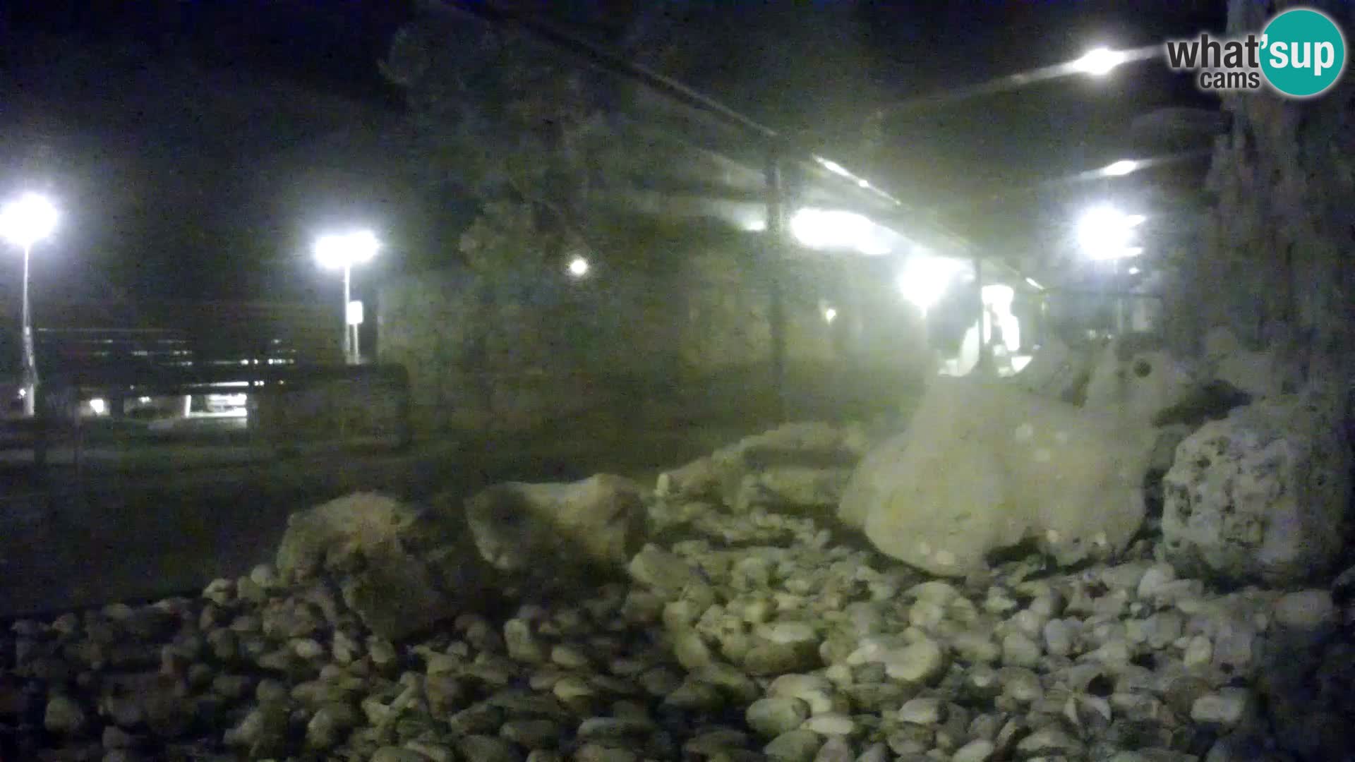 Acuario marino al aire libre Rogoznica webcam Croacia