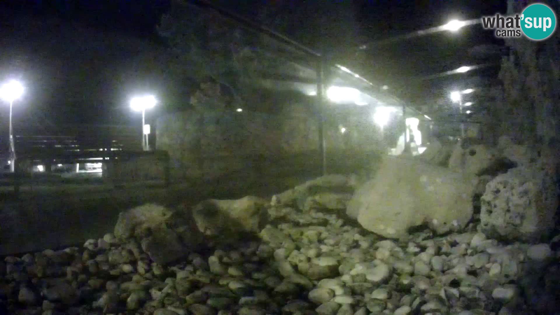 Acuario marino al aire libre Rogoznica webcam Croacia