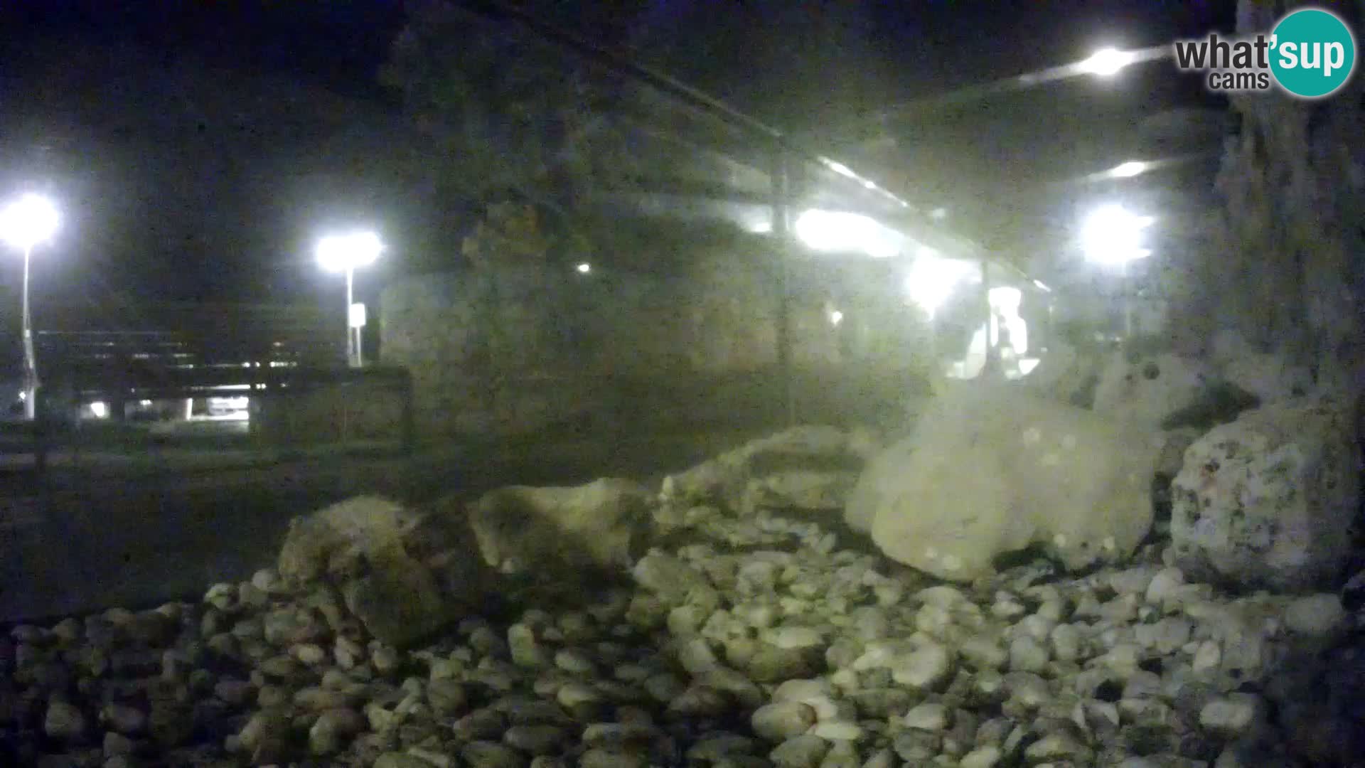 Aquario marino esterno –  Rogoznica livecam Croazia