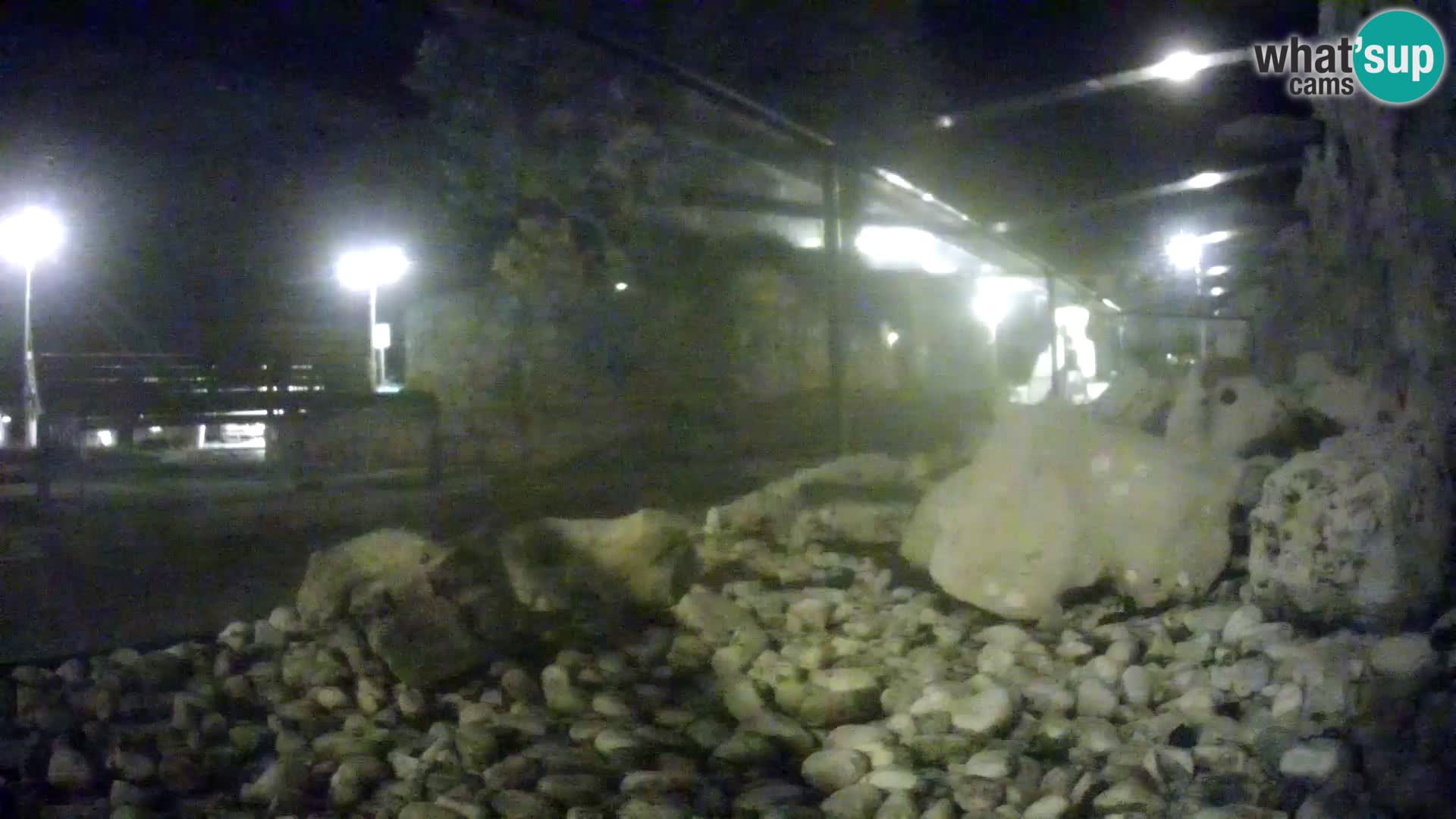 Webcam de l’aquarium marin extérieur de Rogoznica Croatie