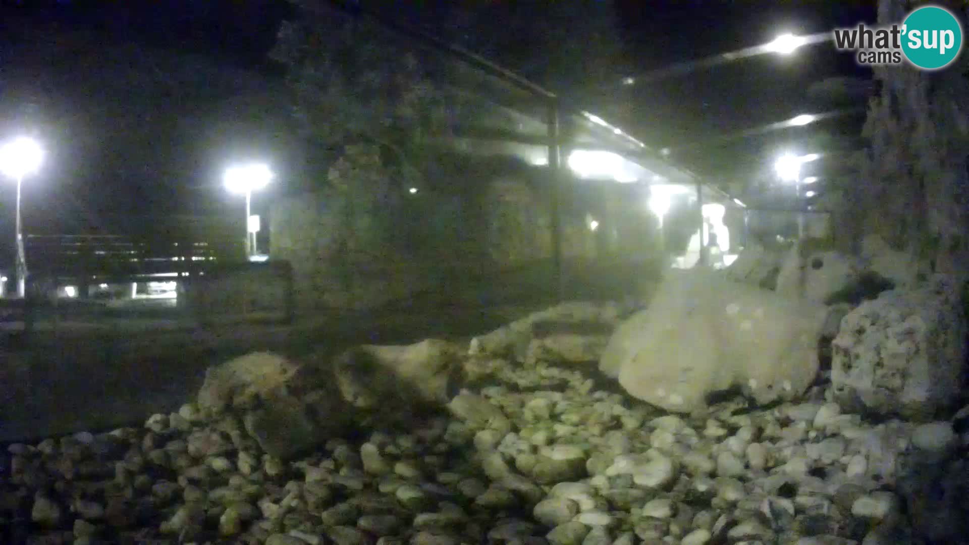 Marine Aquarium im Freien Rogoznica webcam Kroatien