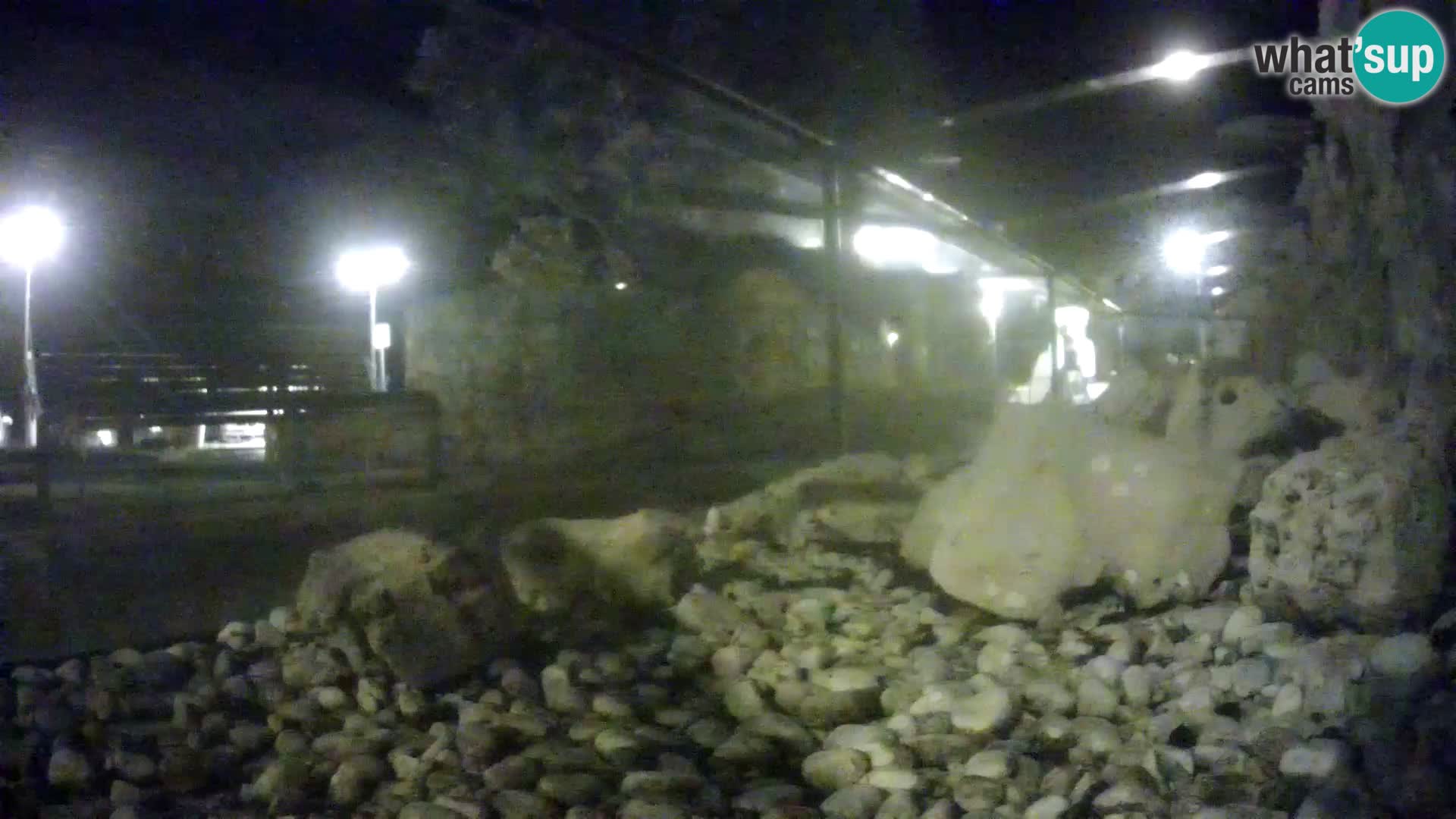 Webcam de l’aquarium marin extérieur de Rogoznica Croatie