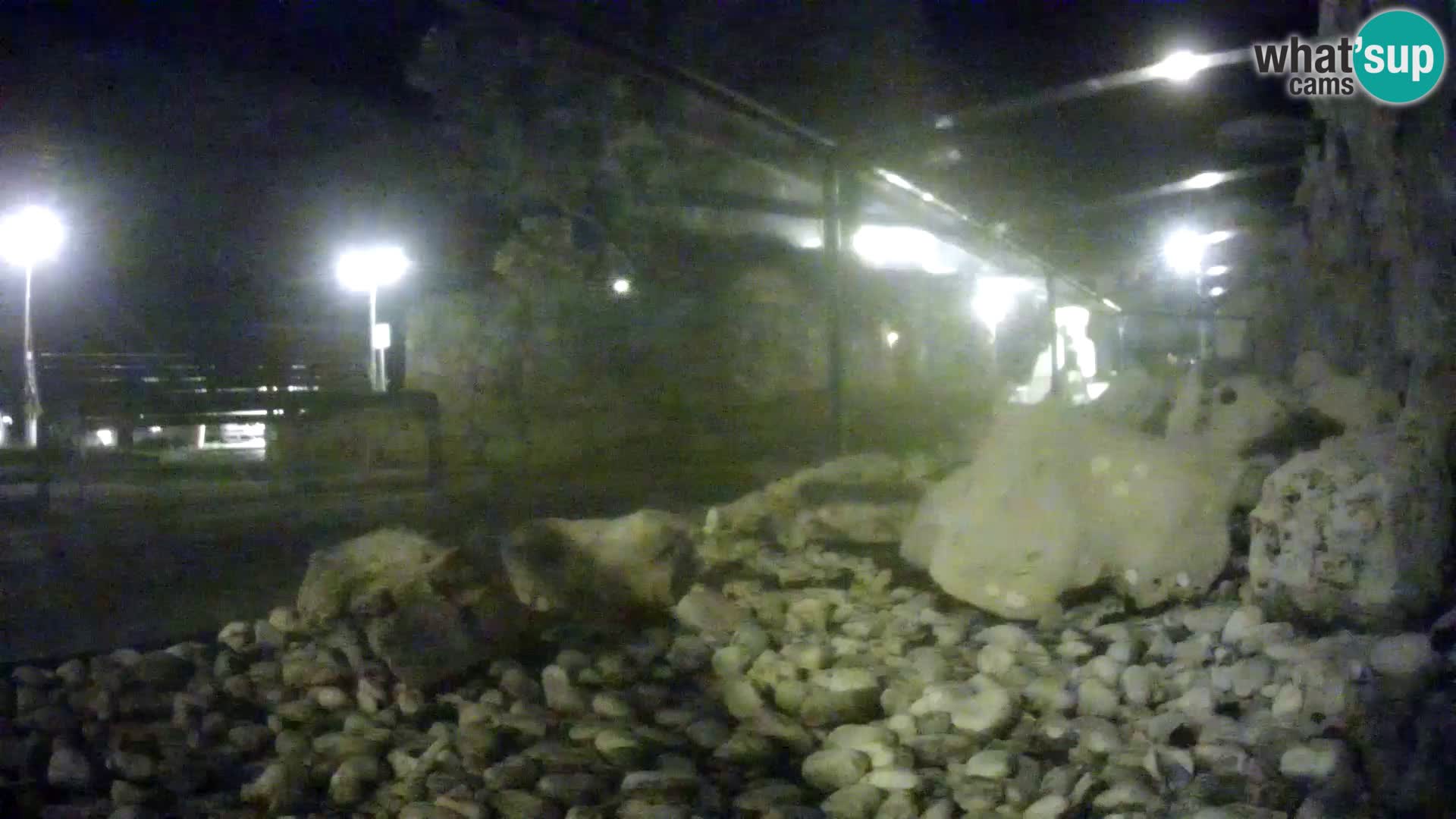 Vanjski morski akvarij Rogoznica web kamera Hrvatska