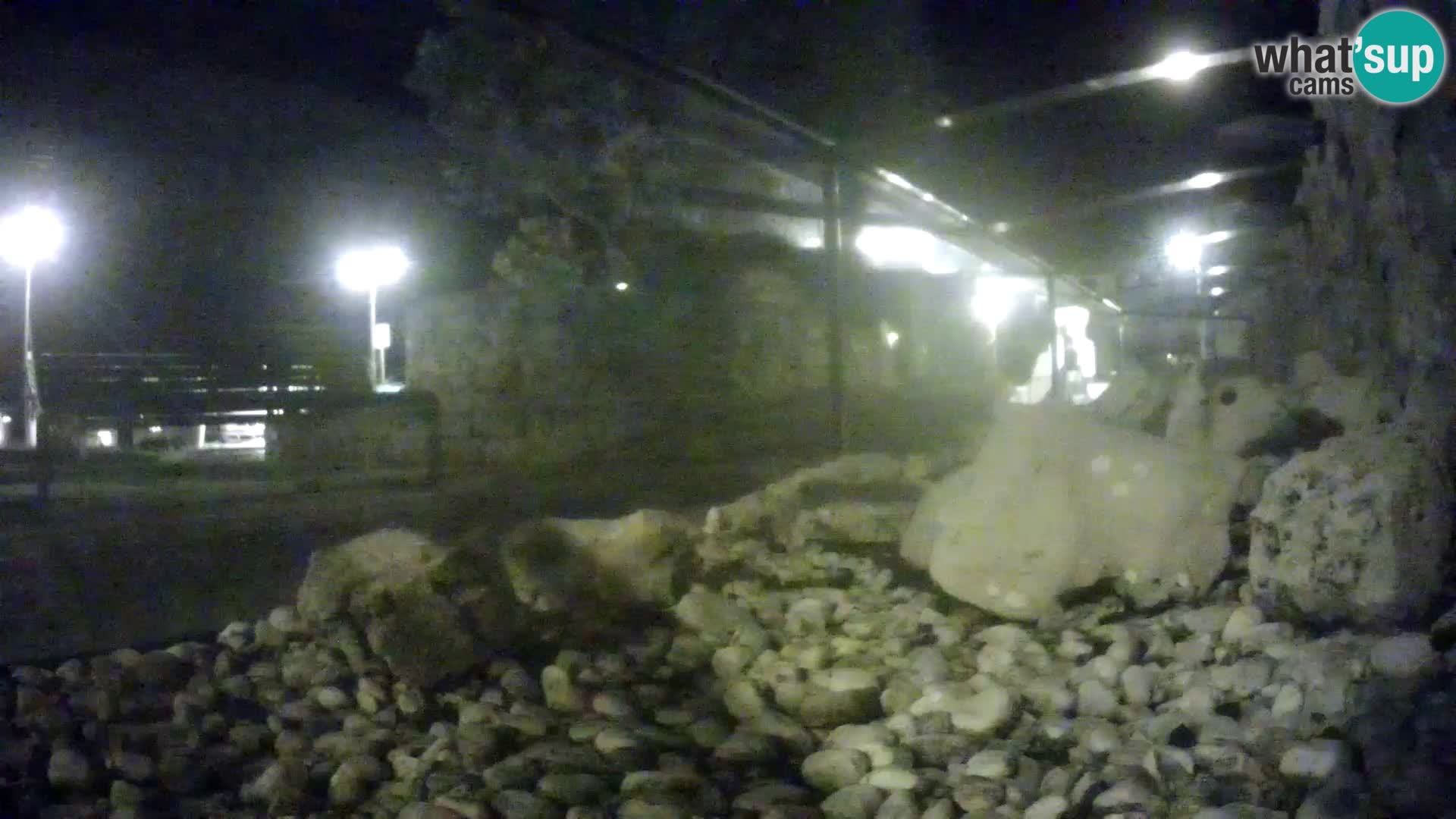 Webcam de l’aquarium marin extérieur de Rogoznica Croatie