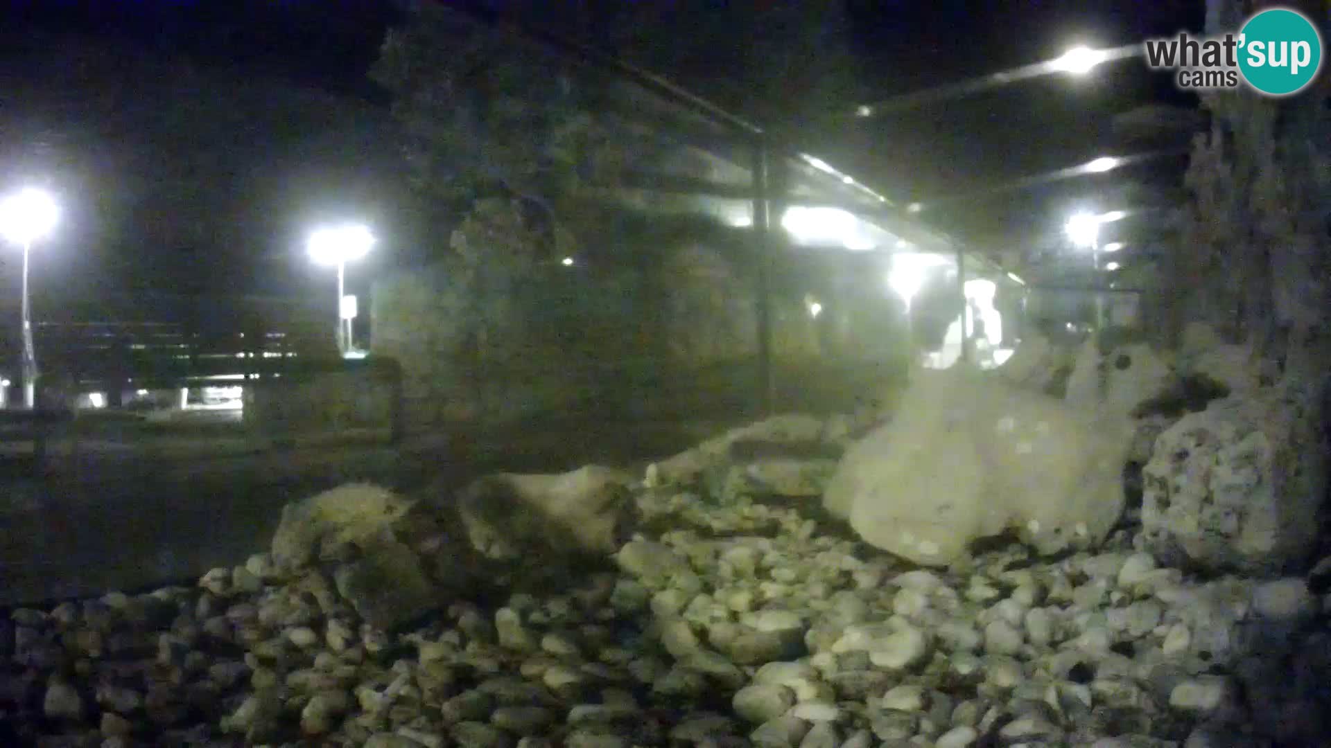 Marine Aquarium im Freien Rogoznica webcam Kroatien