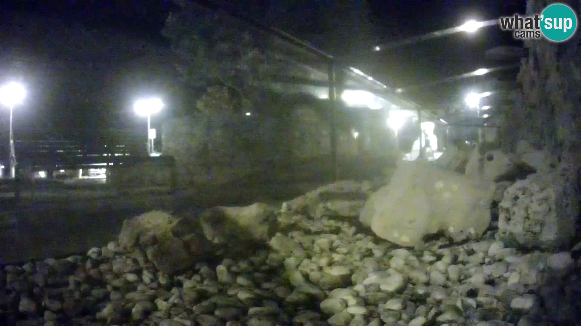 Outdoor Marine Aquarium Rogoznica webcam Croatia