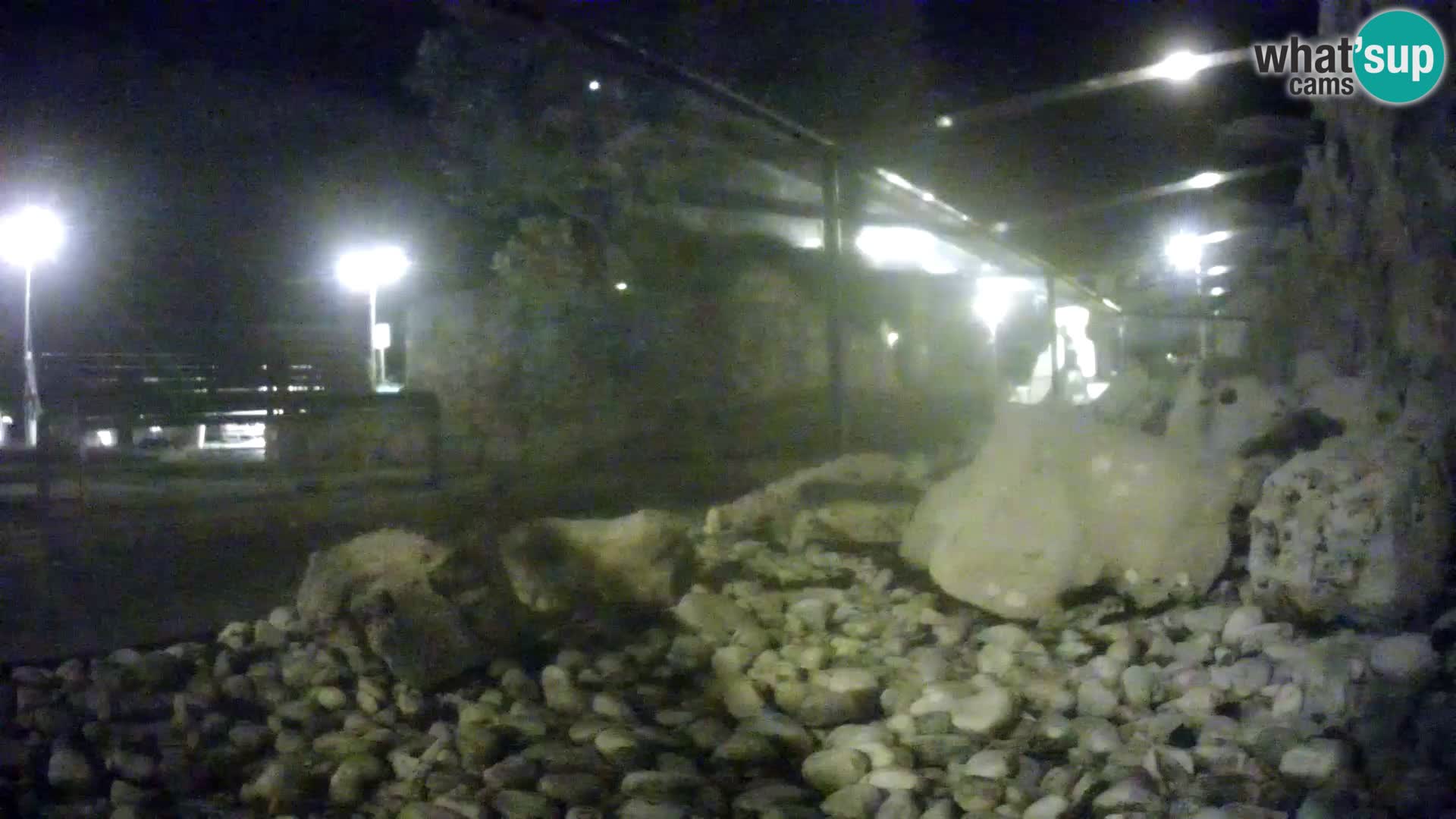 Outdoor Marine Aquarium Rogoznica webcam Croatia