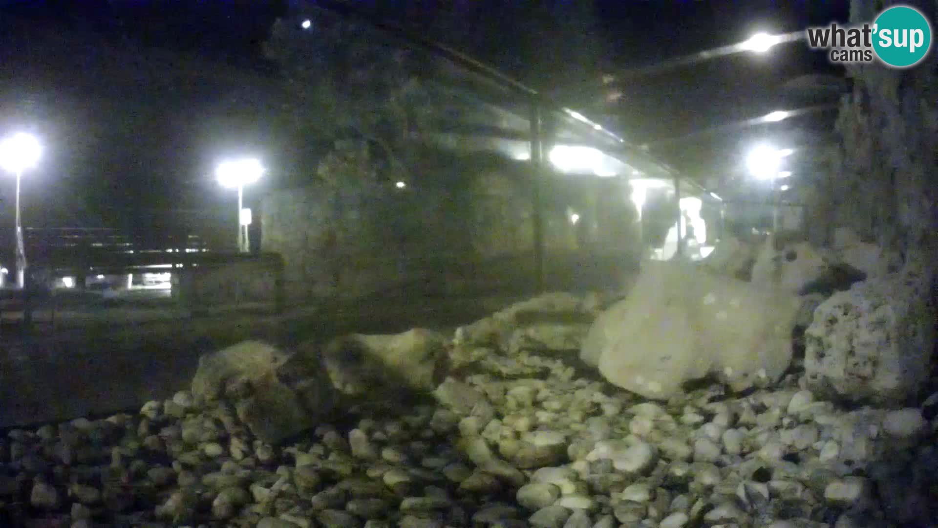 Outdoor Marine Aquarium Rogoznica webcam Croatia