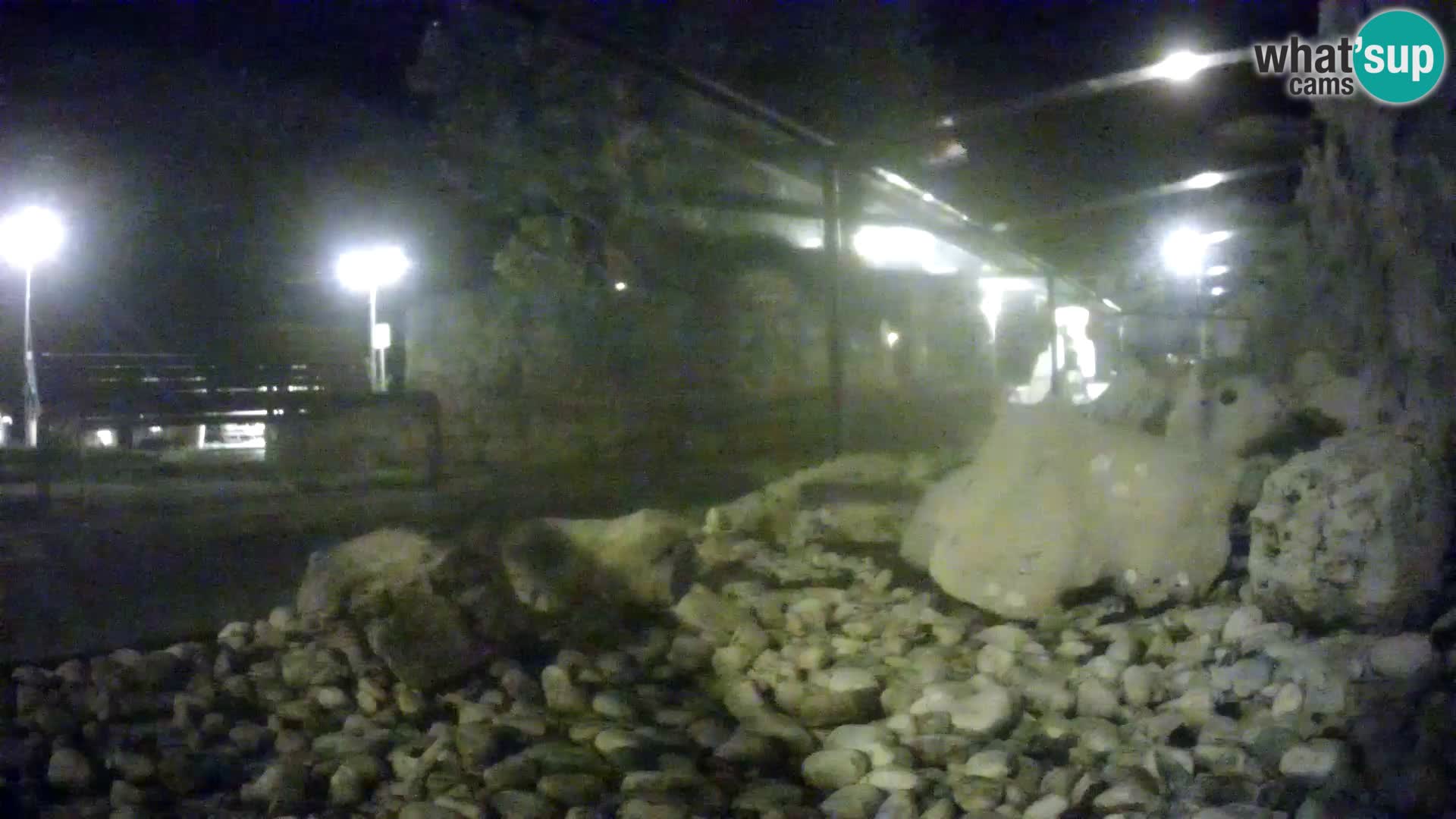 Webcam de l’aquarium marin extérieur de Rogoznica Croatie