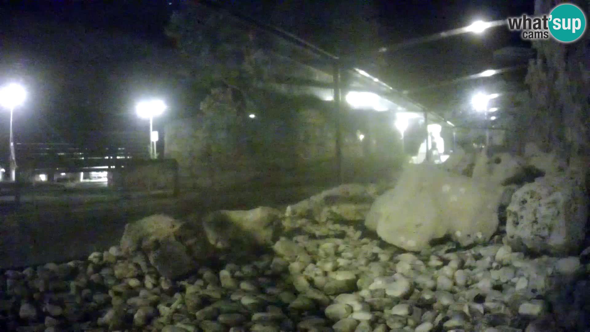 Marine Aquarium im Freien Rogoznica webcam Kroatien