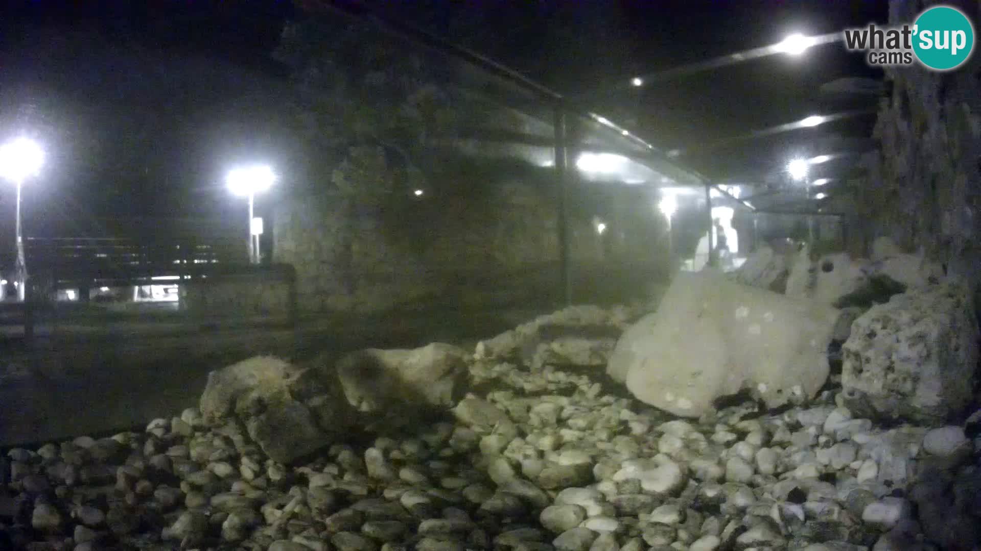 Webcam de l’aquarium marin extérieur de Rogoznica Croatie