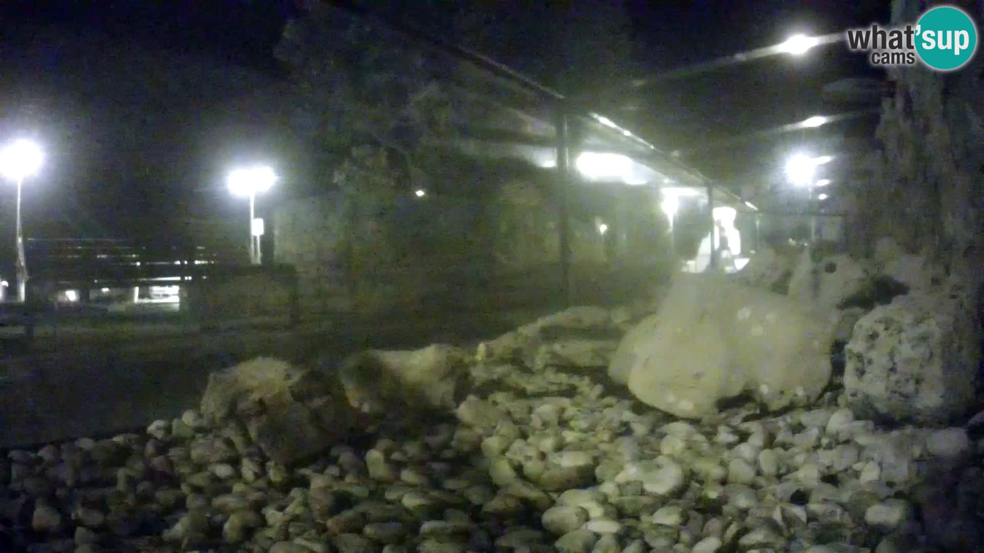 Webcam de l’aquarium marin extérieur de Rogoznica Croatie