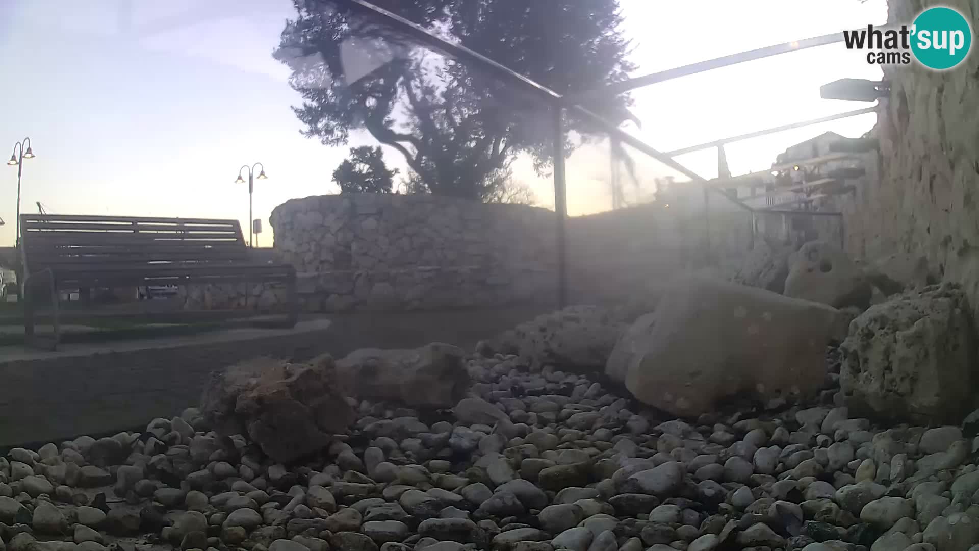 Aquario marino esterno –  Rogoznica livecam Croazia