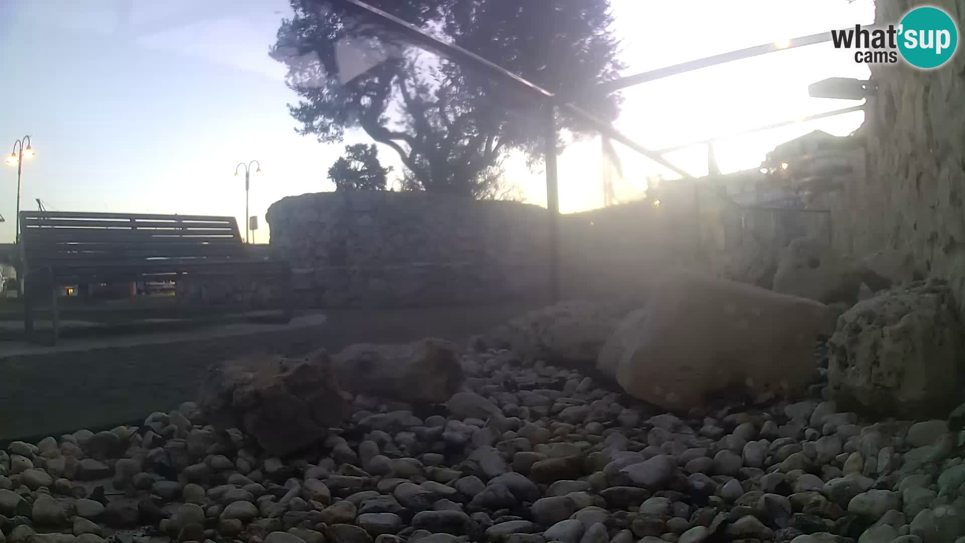 Outdoor Marine Aquarium Rogoznica webcam Croatia