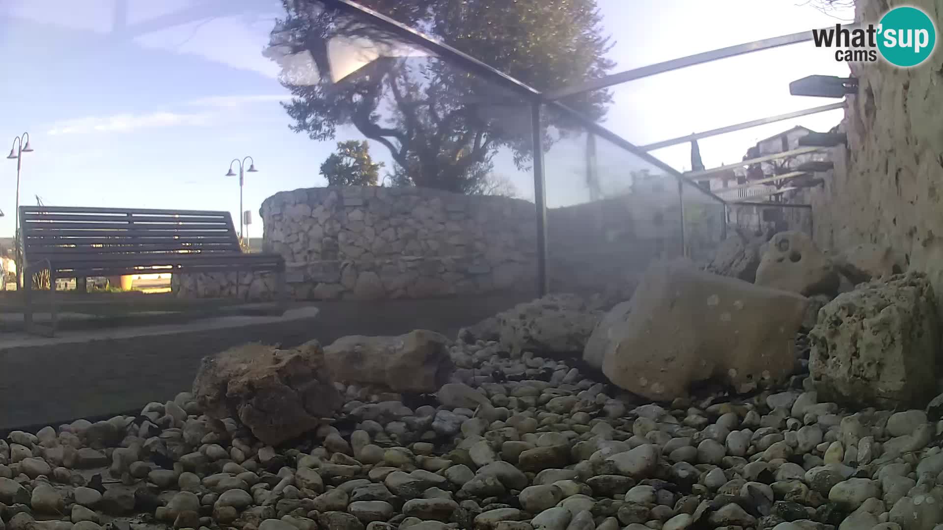 Vanjski morski akvarij Rogoznica web kamera Hrvatska