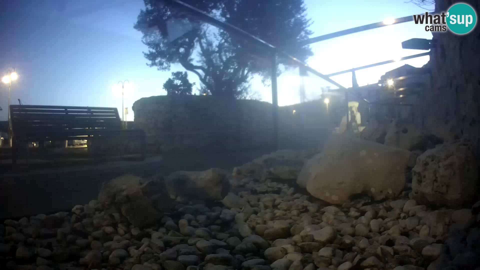 Aquario marino esterno –  Rogoznica livecam Croazia