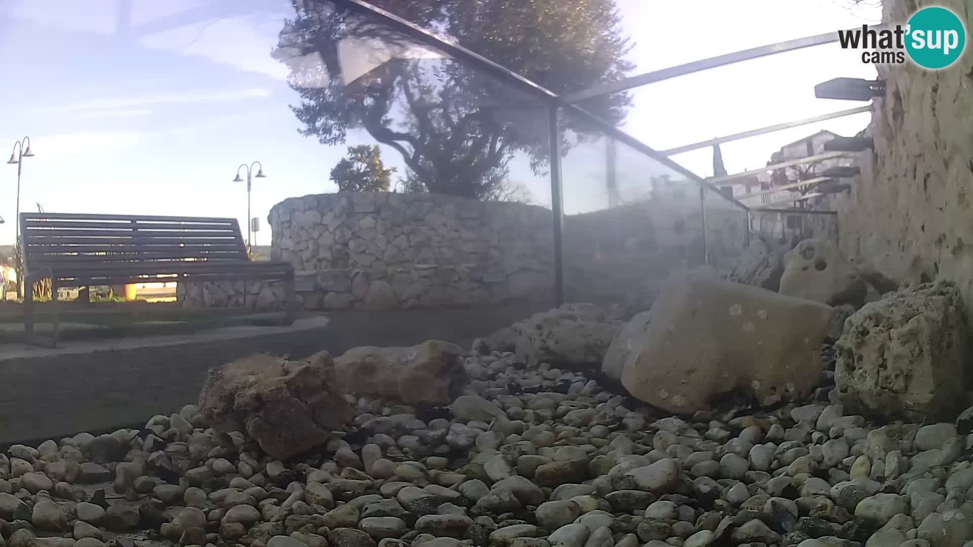 Webcam de l’aquarium marin extérieur de Rogoznica Croatie
