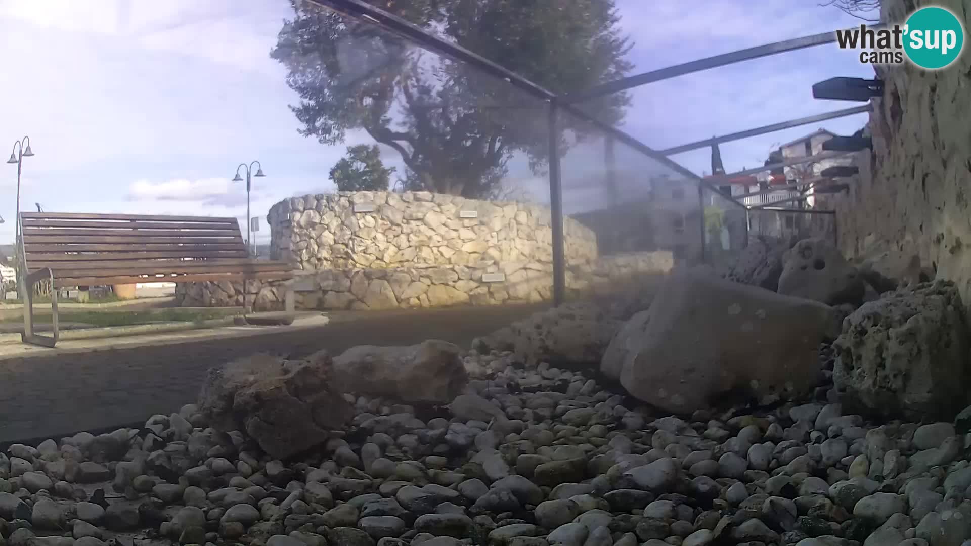 Aquario marino esterno –  Rogoznica livecam Croazia