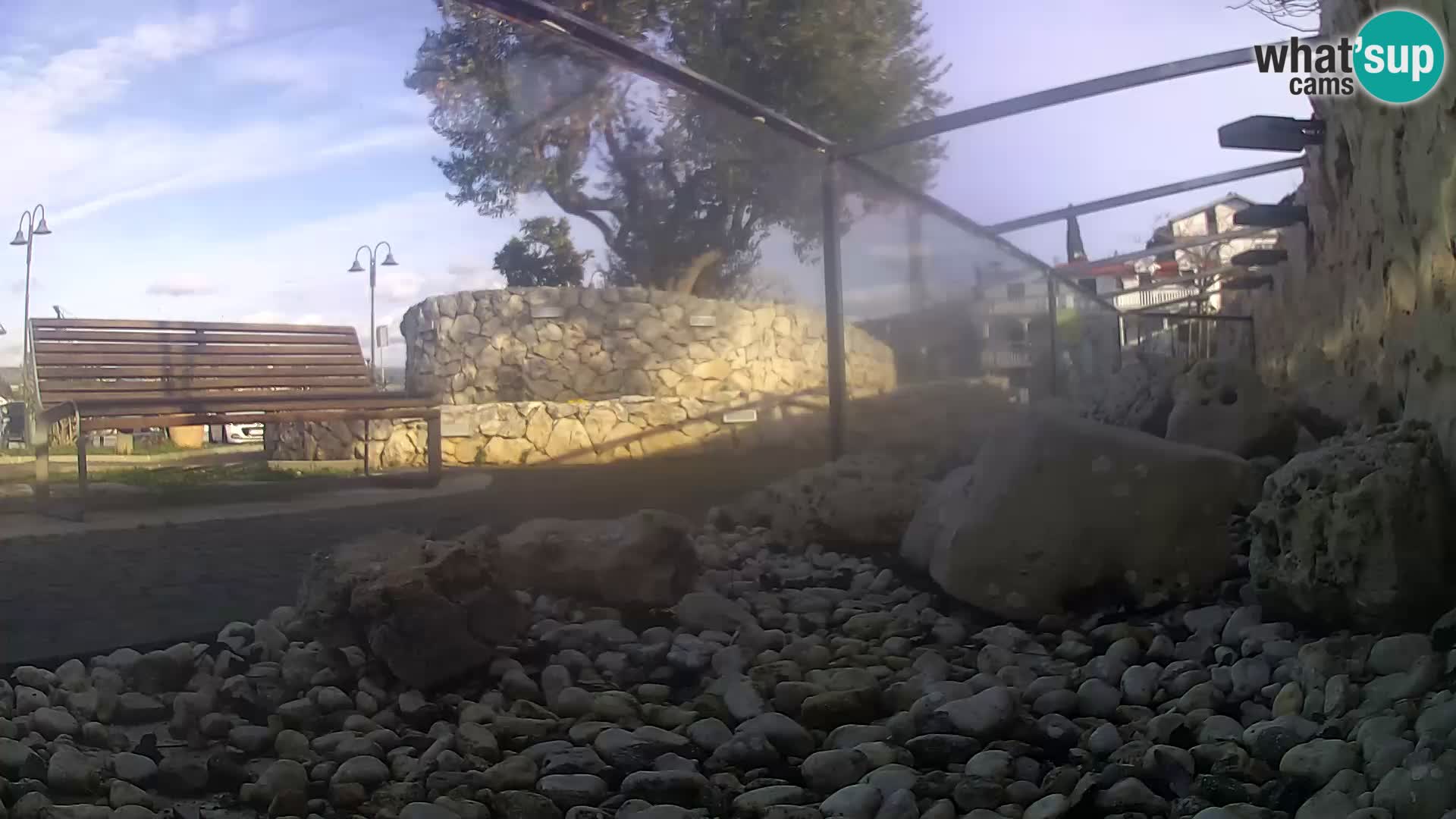 Vanjski morski akvarij Rogoznica web kamera Hrvatska