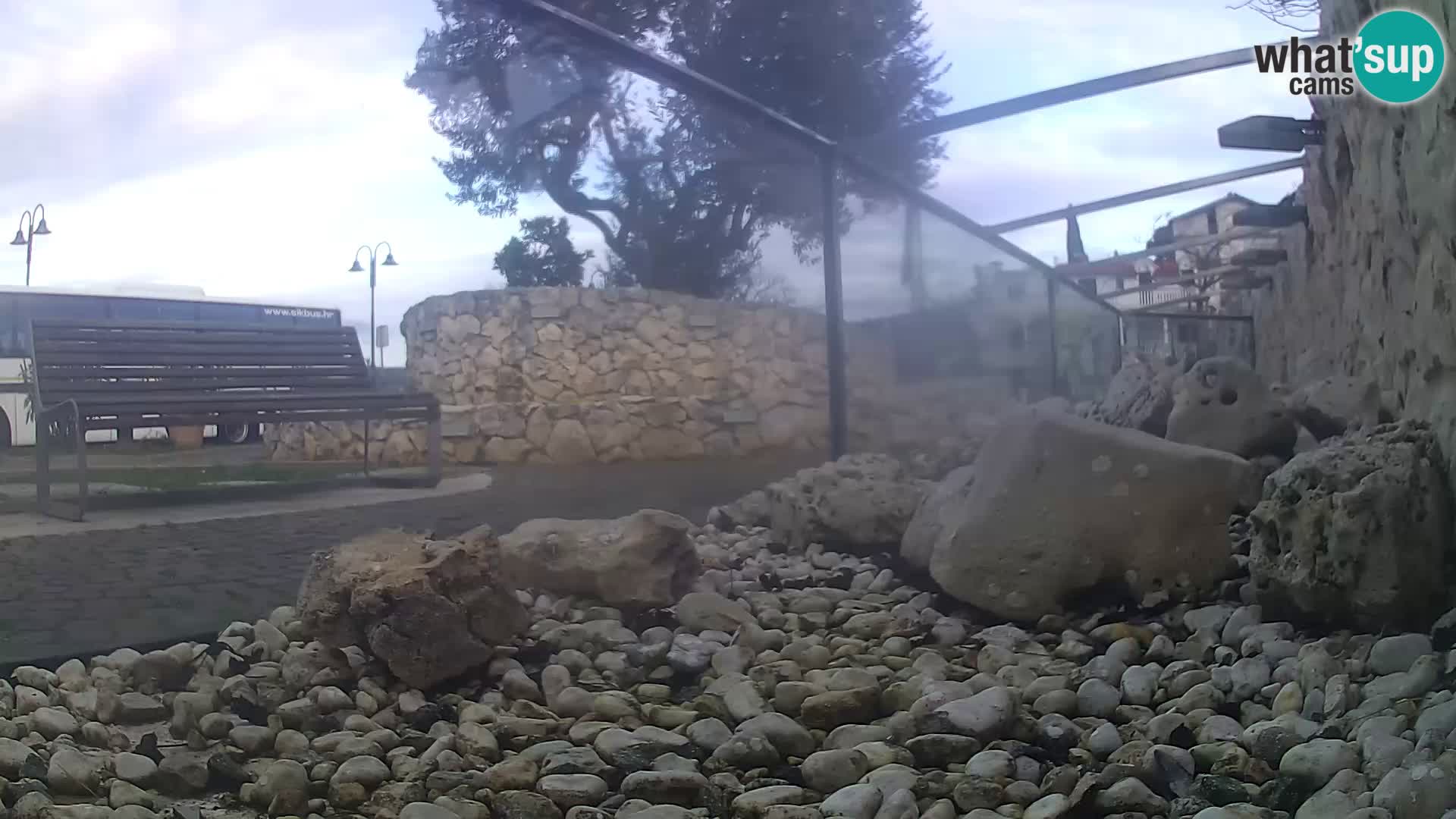 Aquario marino esterno –  Rogoznica livecam Croazia