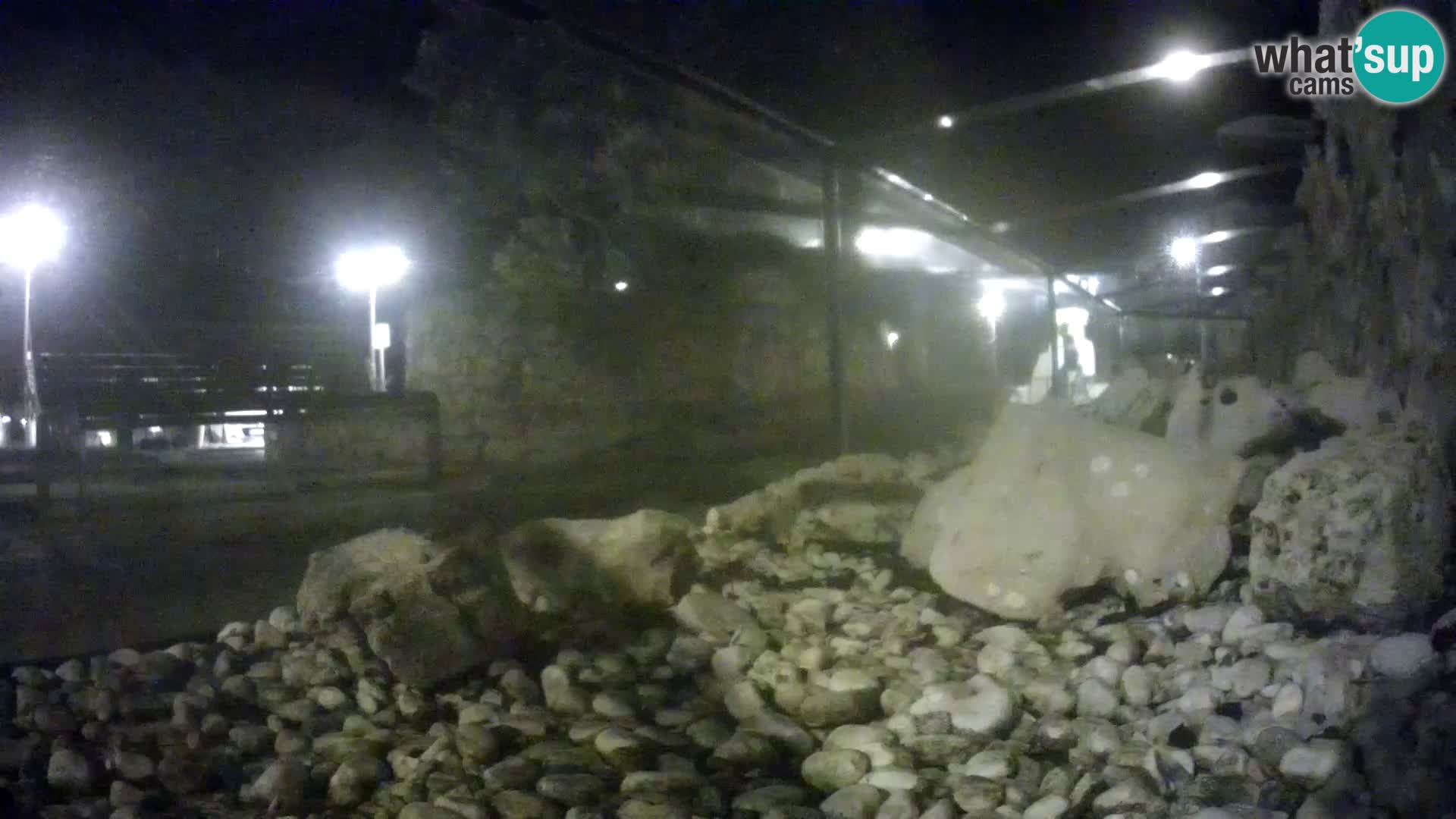 Acuario marino al aire libre Rogoznica webcam Croacia