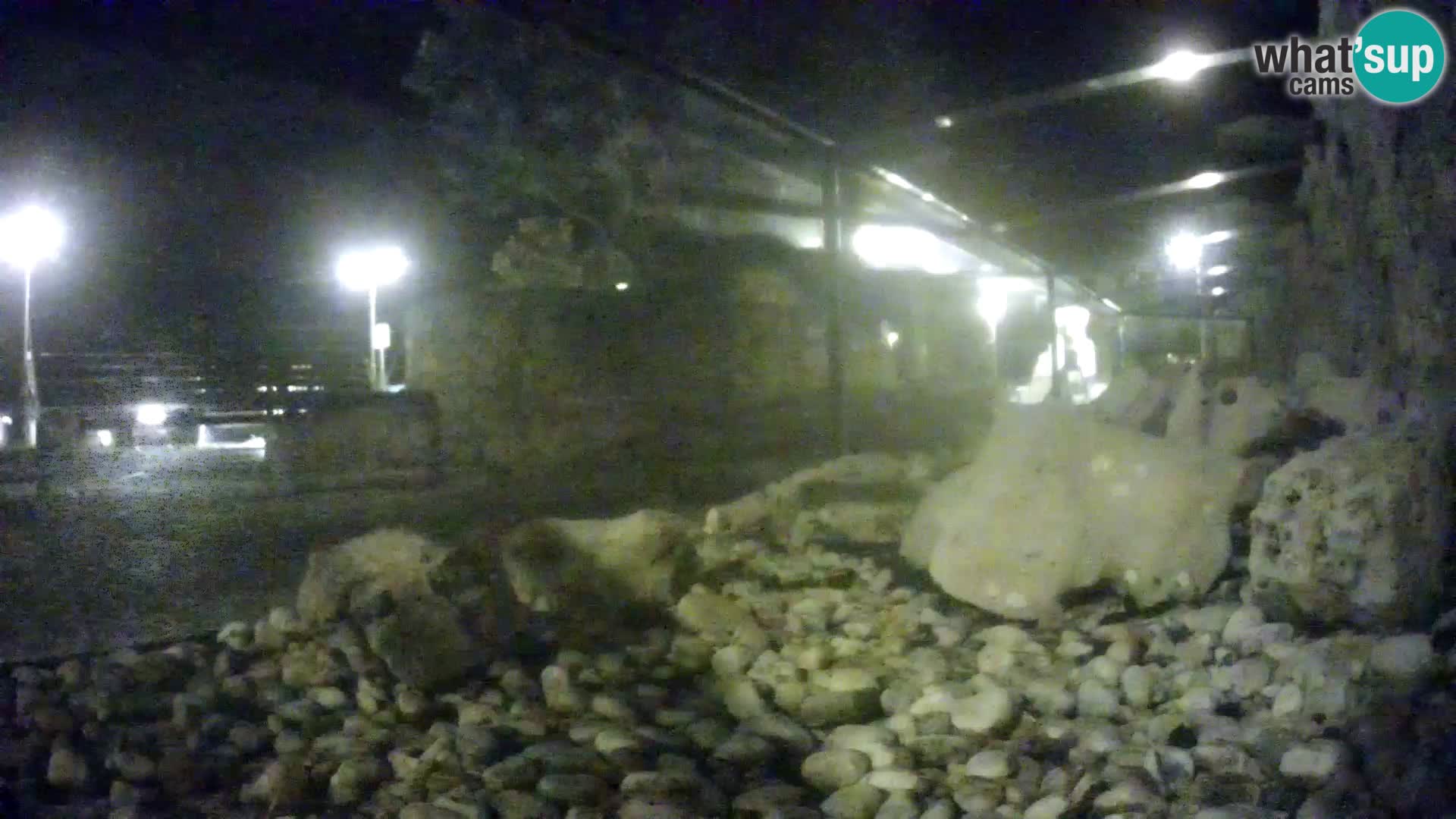 Outdoor Marine Aquarium Rogoznica webcam Croatia