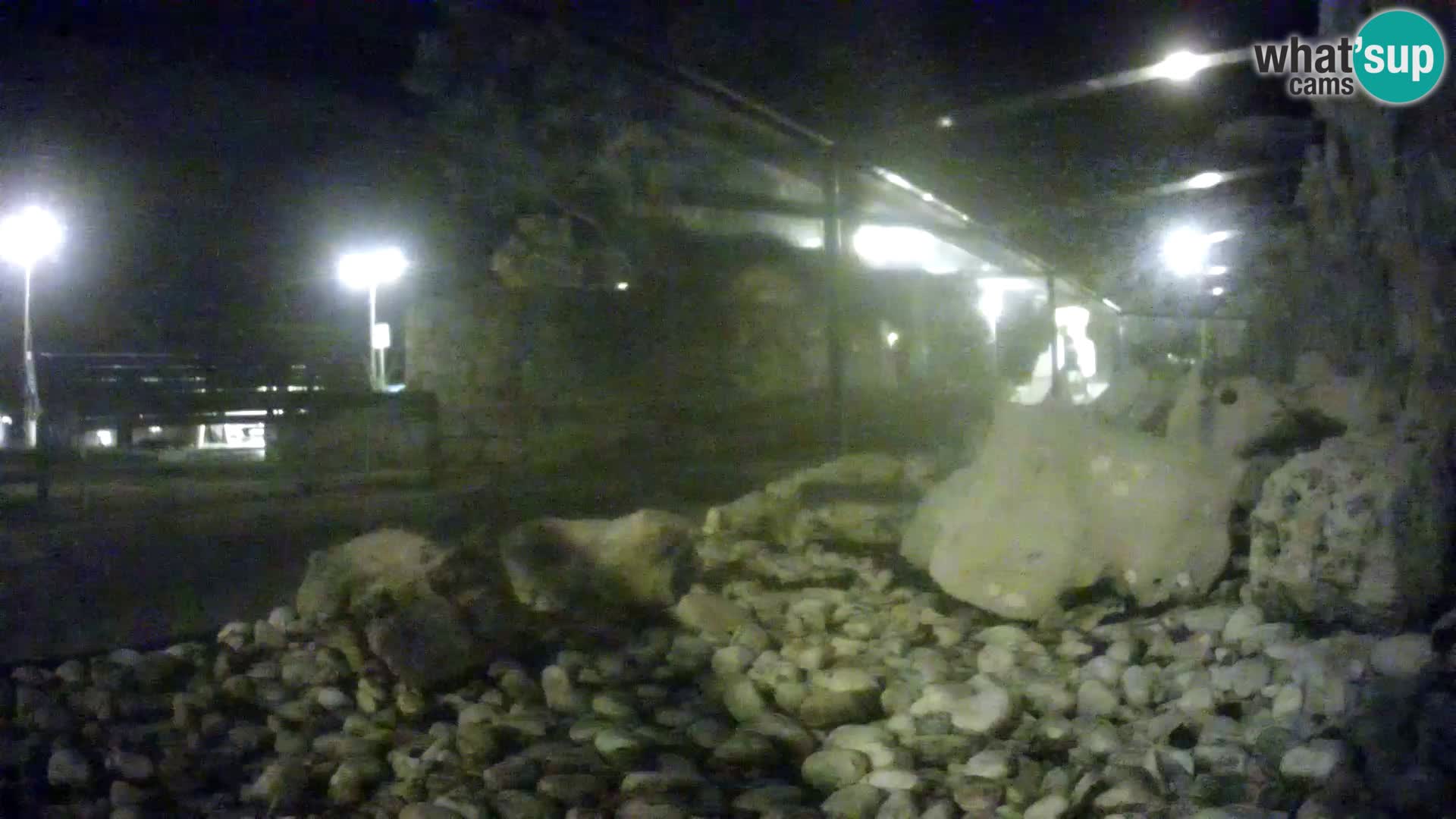 Webcam de l’aquarium marin extérieur de Rogoznica Croatie