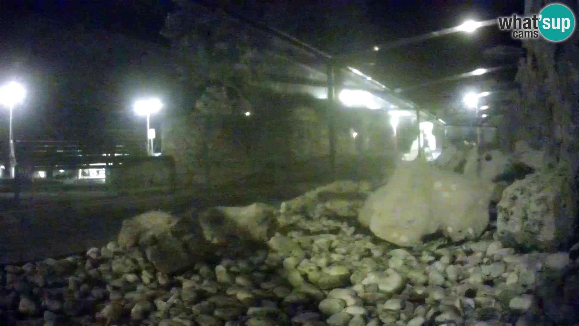 Vanjski morski akvarij Rogoznica web kamera Hrvatska