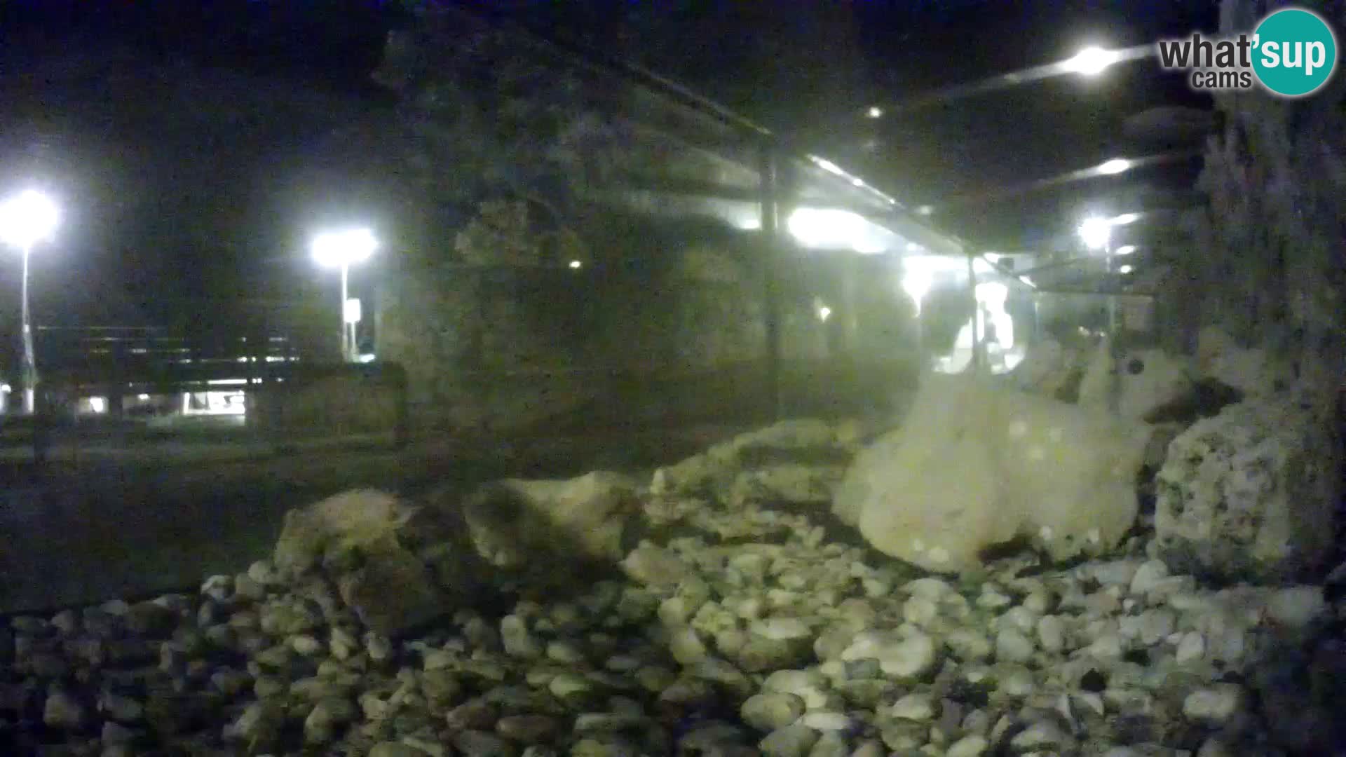 Marine Aquarium im Freien Rogoznica webcam Kroatien