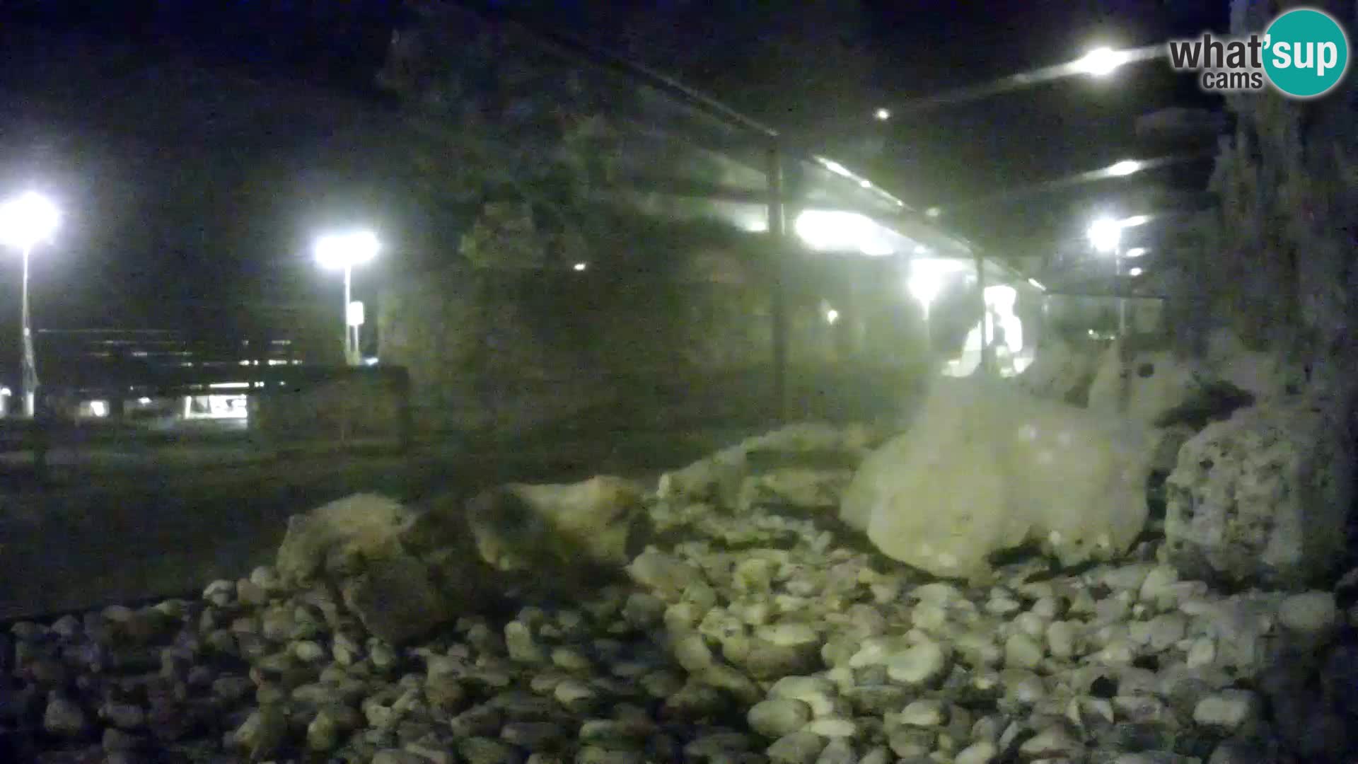 Outdoor Marine Aquarium Rogoznica webcam Croatia