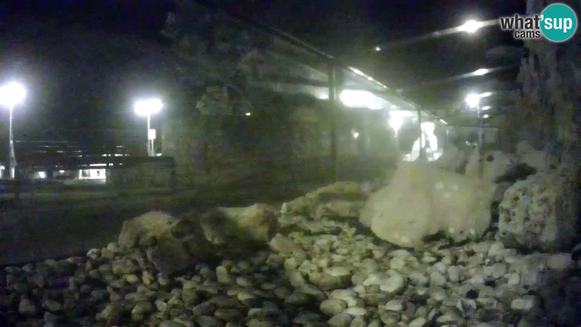 Webcam de l’aquarium marin extérieur de Rogoznica Croatie