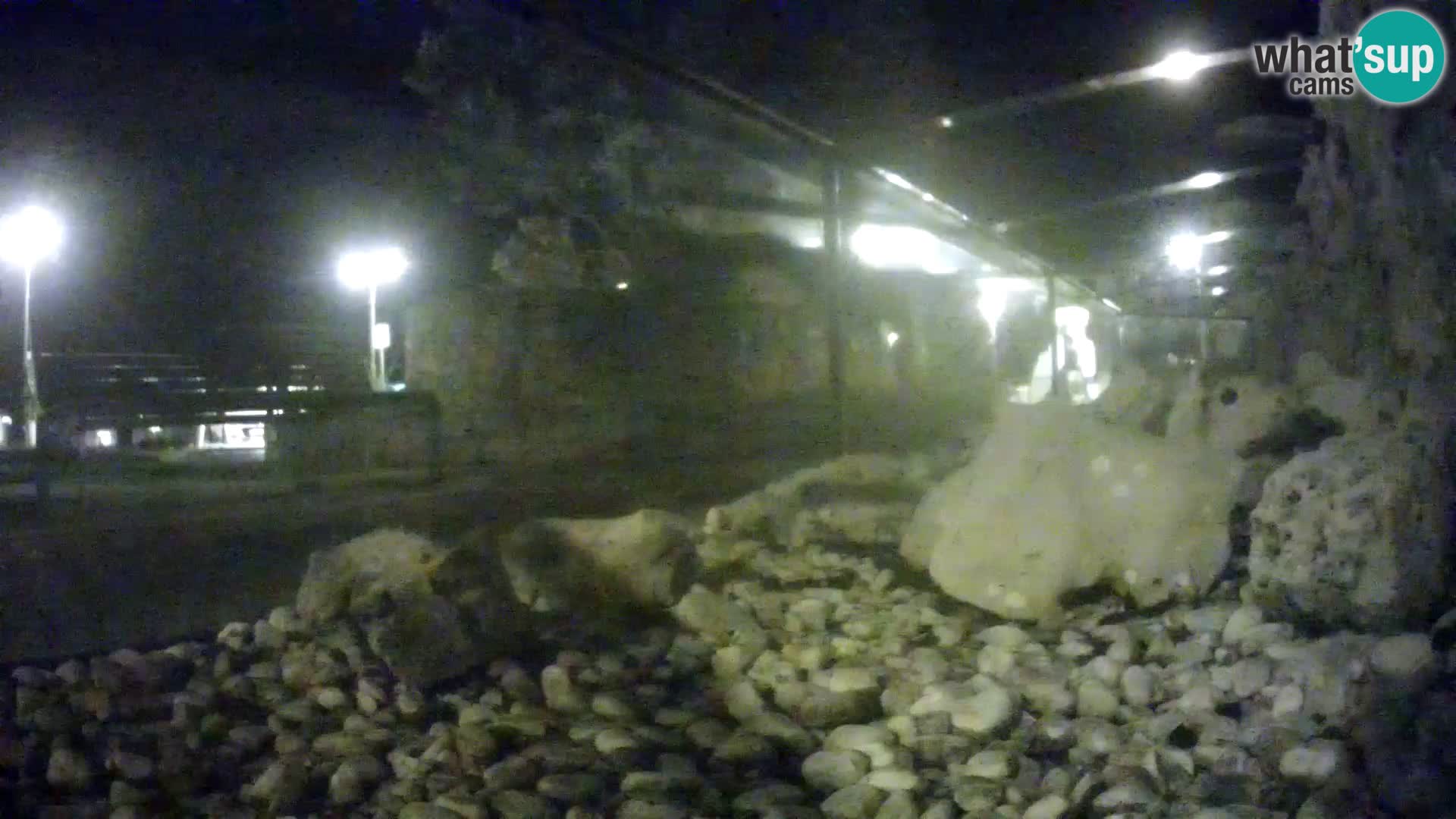 Webcam de l’aquarium marin extérieur de Rogoznica Croatie