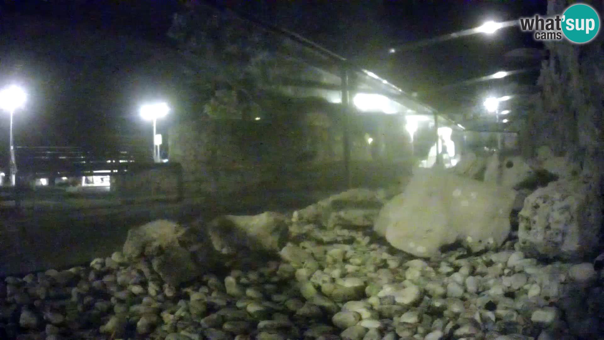 Webcam de l’aquarium marin extérieur de Rogoznica Croatie