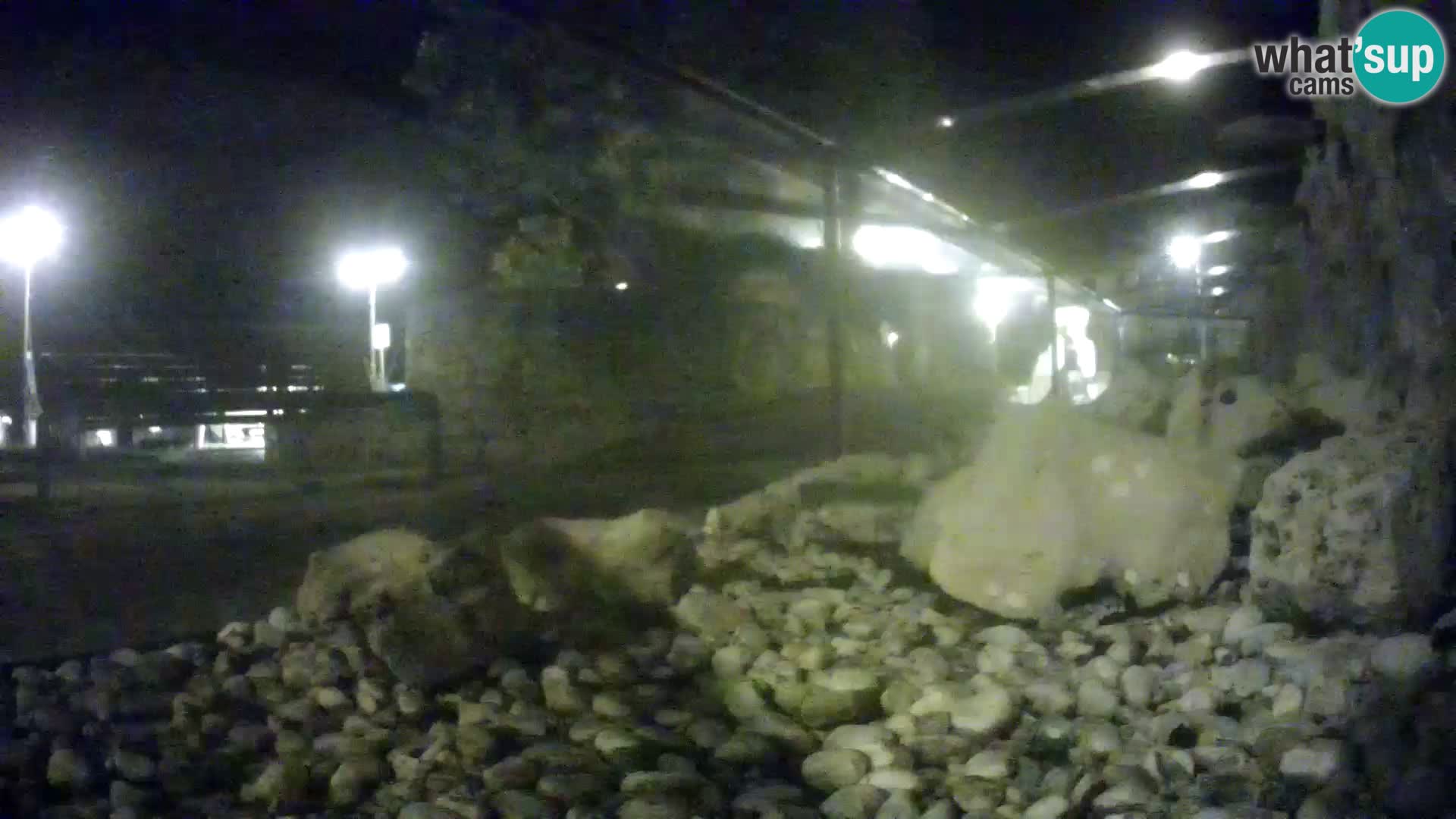 Acuario marino al aire libre Rogoznica webcam Croacia